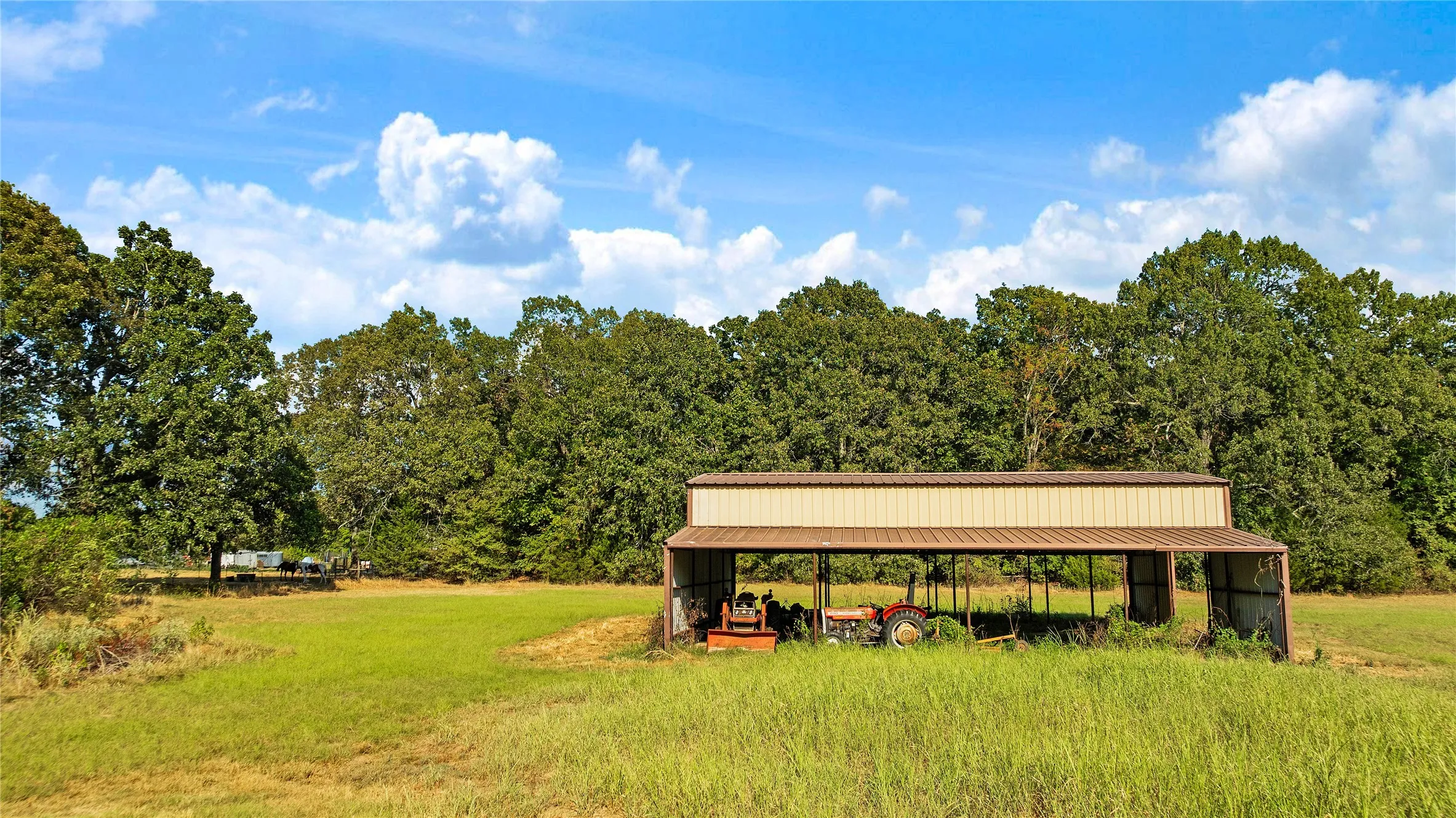Farm For Sale in Lamar County , 6517 County Road 45600, Blossom, Texas 75416, 3 Bedroom, 2 Bathroom, Garage spaces, 1,143 Sqft, built in 1984, mls#21381147, Real Estate Agent in Blossom, Homes For Sale in Lamar county, Homes For Sale in Blossom, Realtor in Blossom Texas, Real Estate Brokerage Independent Realty Texas, Luminita Cordes Realtor