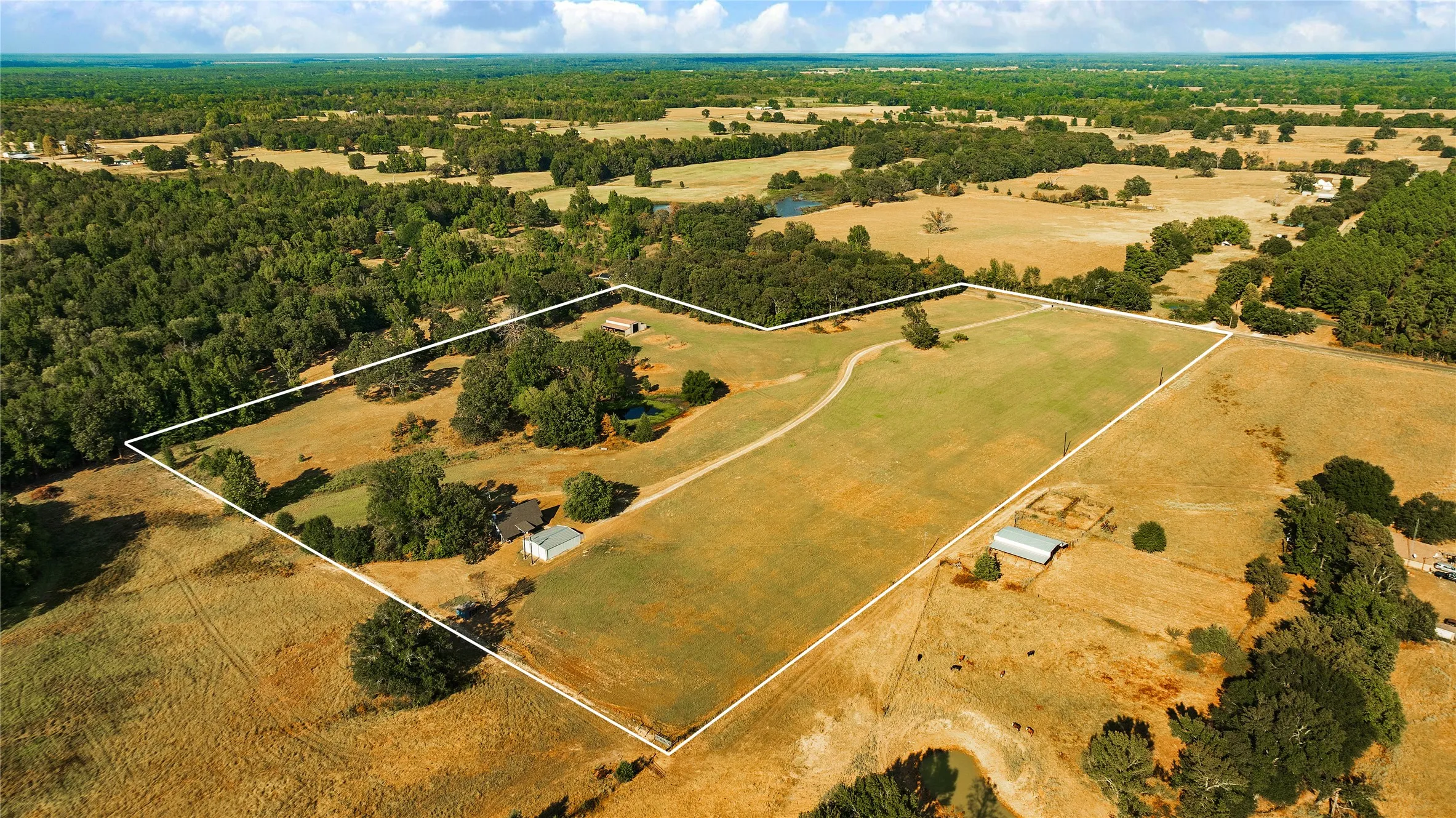 Farm For Sale in Lamar County , 6517 County Road 45600, Blossom, Texas 75416, 3 Bedroom, 2 Bathroom, Garage spaces, 1,143 Sqft, built in 1984, mls#21381147, Real Estate Agent in Blossom, Homes For Sale in Lamar county, Homes For Sale in Blossom, Realtor in Blossom Texas, Real Estate Brokerage Independent Realty Texas, Luminita Cordes Realtor