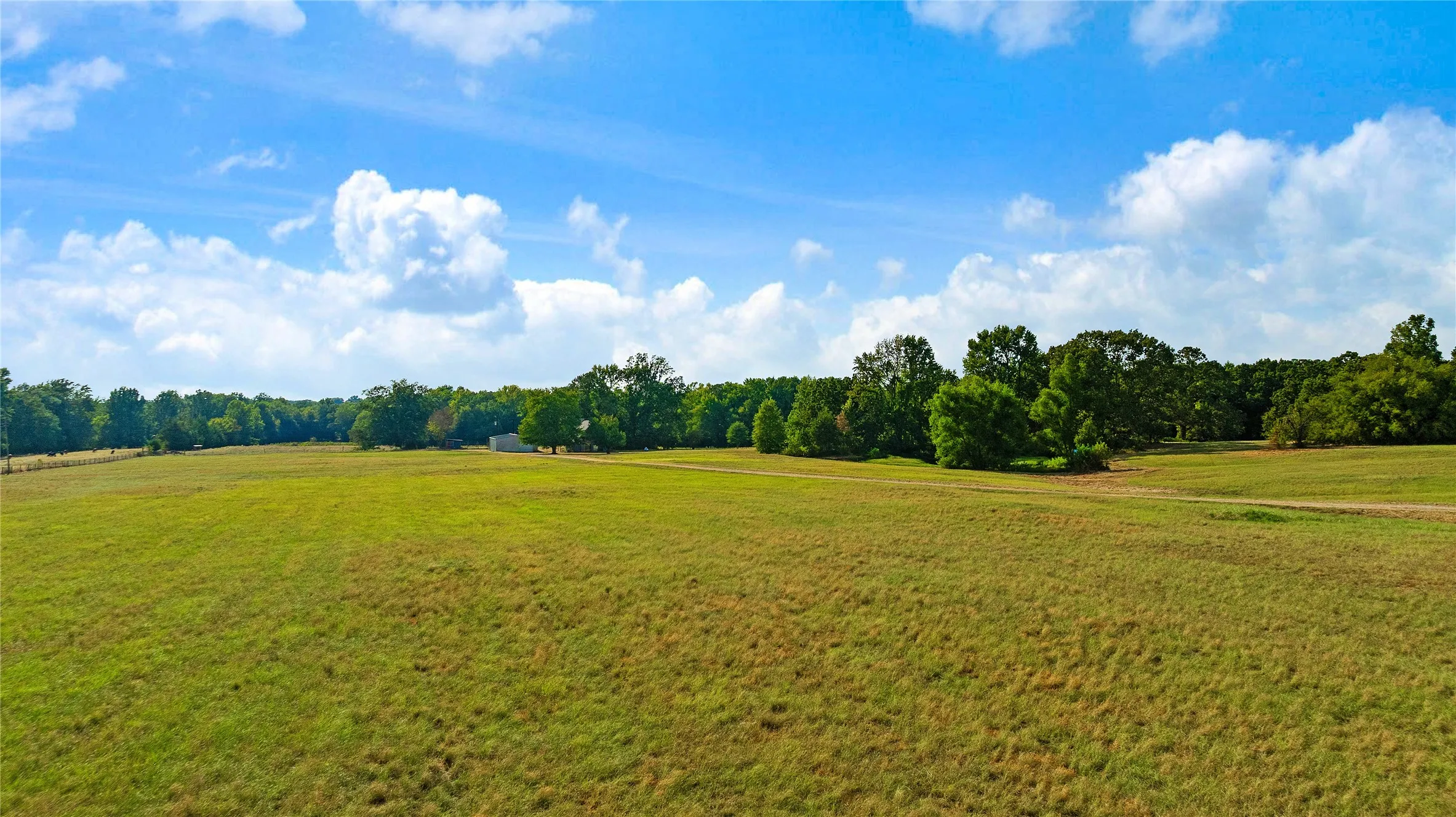 Farm For Sale in Lamar County , 6517 County Road 45600, Blossom, Texas 75416, 3 Bedroom, 2 Bathroom, Garage spaces, 1,143 Sqft, built in 1984, mls#21381147, Real Estate Agent in Blossom, Homes For Sale in Lamar county, Homes For Sale in Blossom, Realtor in Blossom Texas, Real Estate Brokerage Independent Realty Texas, Luminita Cordes Realtor