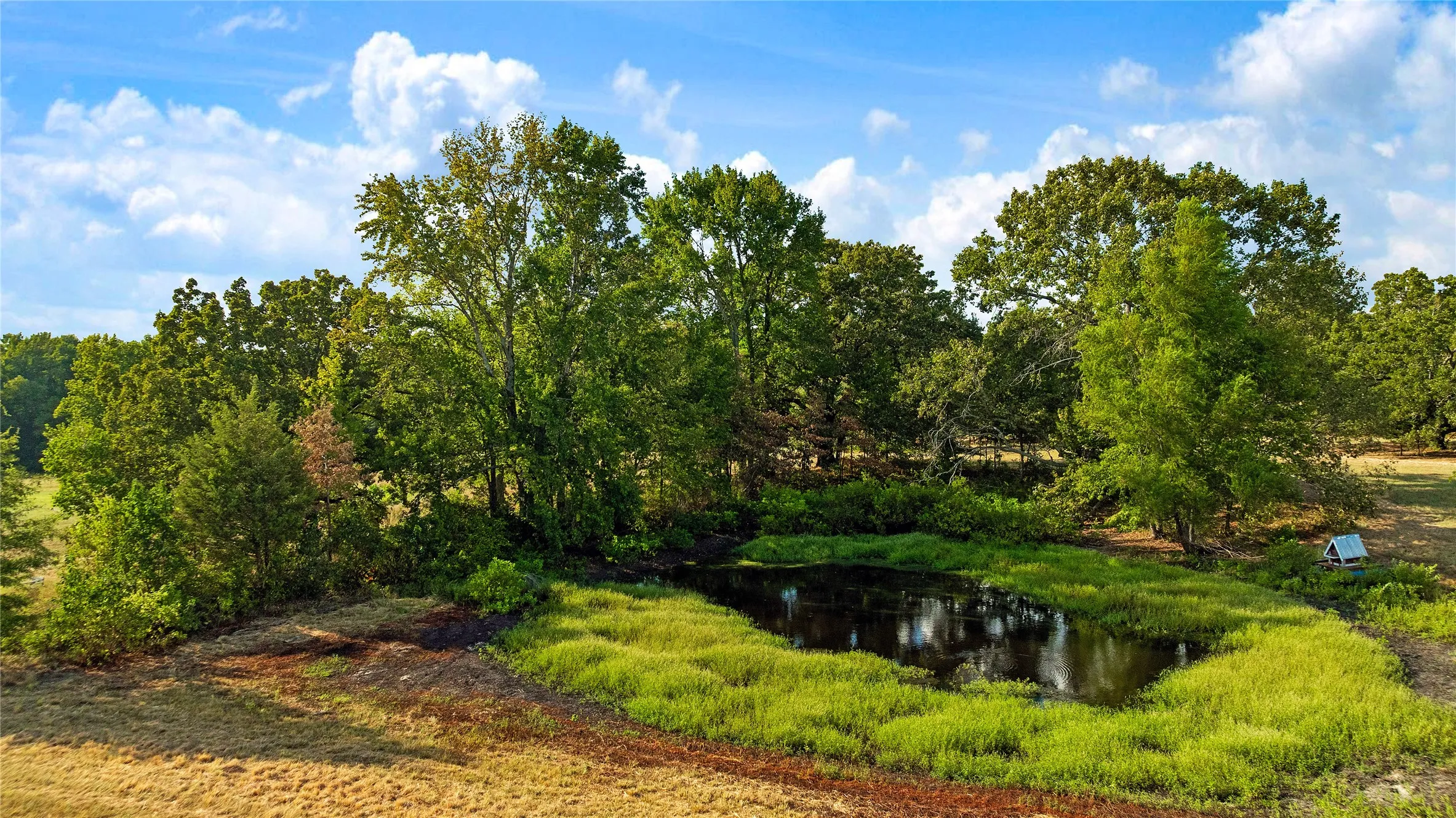 Farm For Sale in Lamar County , 6517 County Road 45600, Blossom, Texas 75416, 3 Bedroom, 2 Bathroom, Garage spaces, 1,143 Sqft, built in 1984, mls#21381147, Real Estate Agent in Blossom, Homes For Sale in Lamar county, Homes For Sale in Blossom, Realtor in Blossom Texas, Real Estate Brokerage Independent Realty Texas, Luminita Cordes Realtor
