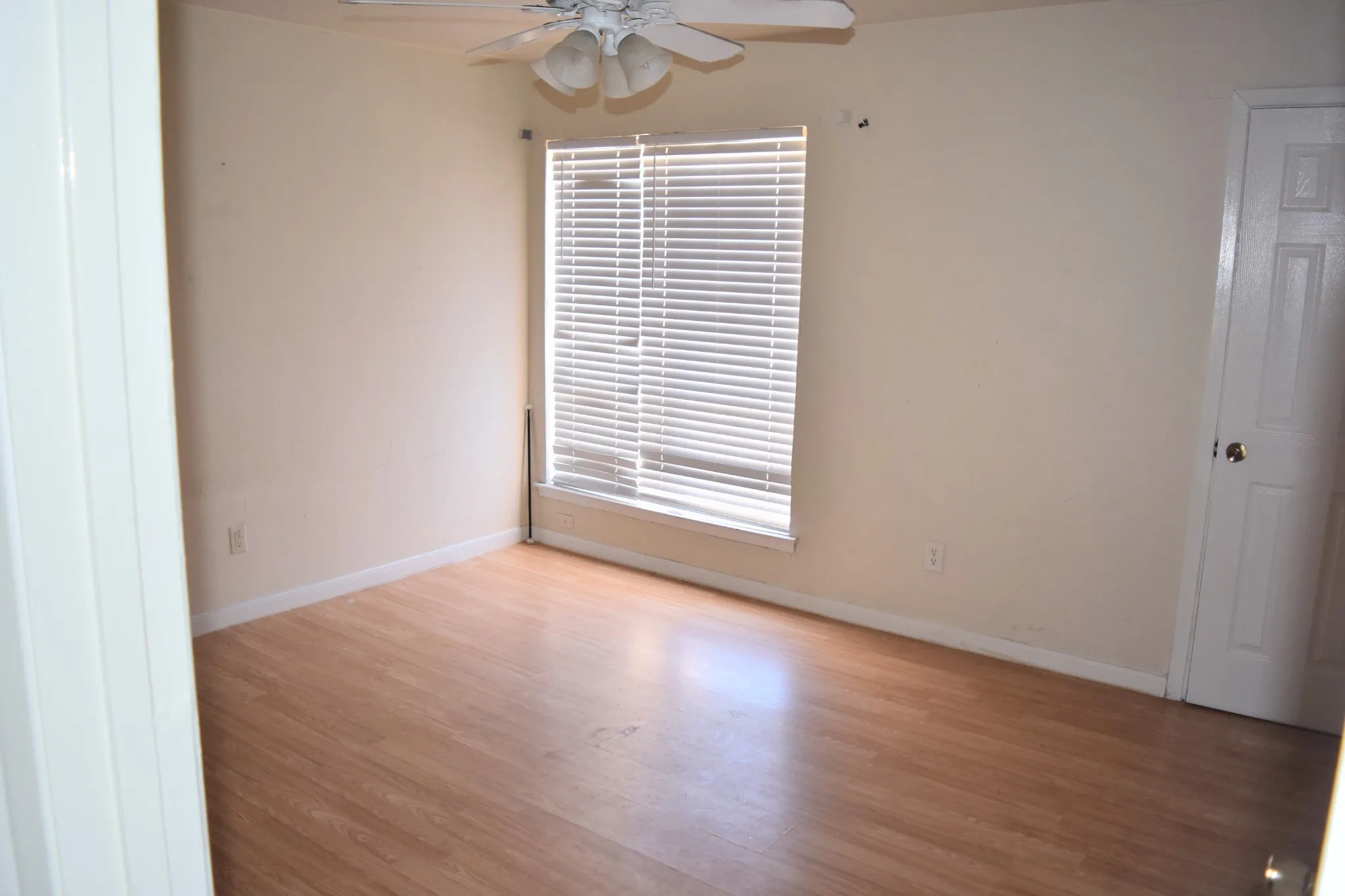 Wood-finish flooring, window with blinds, ceiling fan with light, and white paneled door