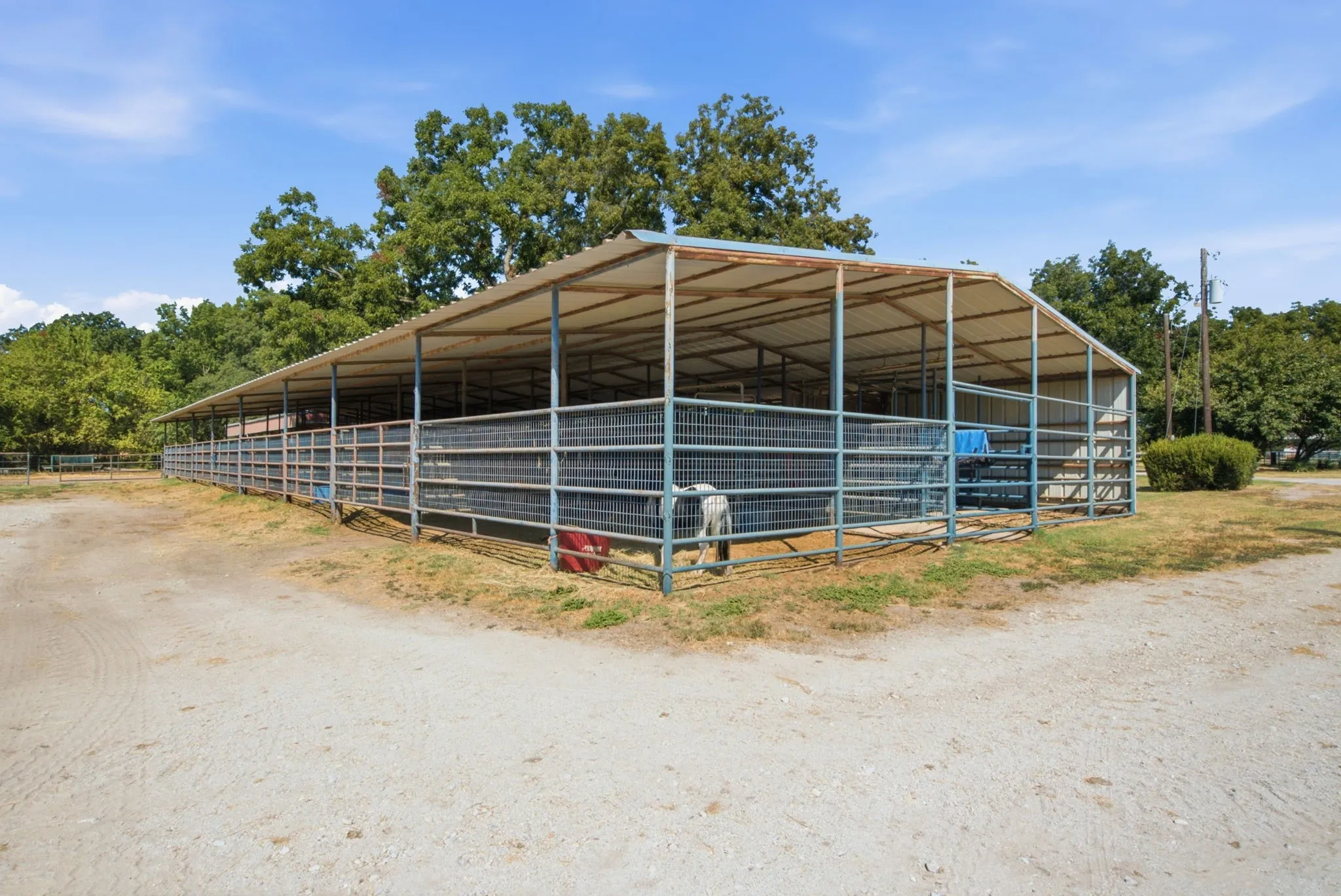 Barn #3 Mare/Baby Stalls with dividing gates