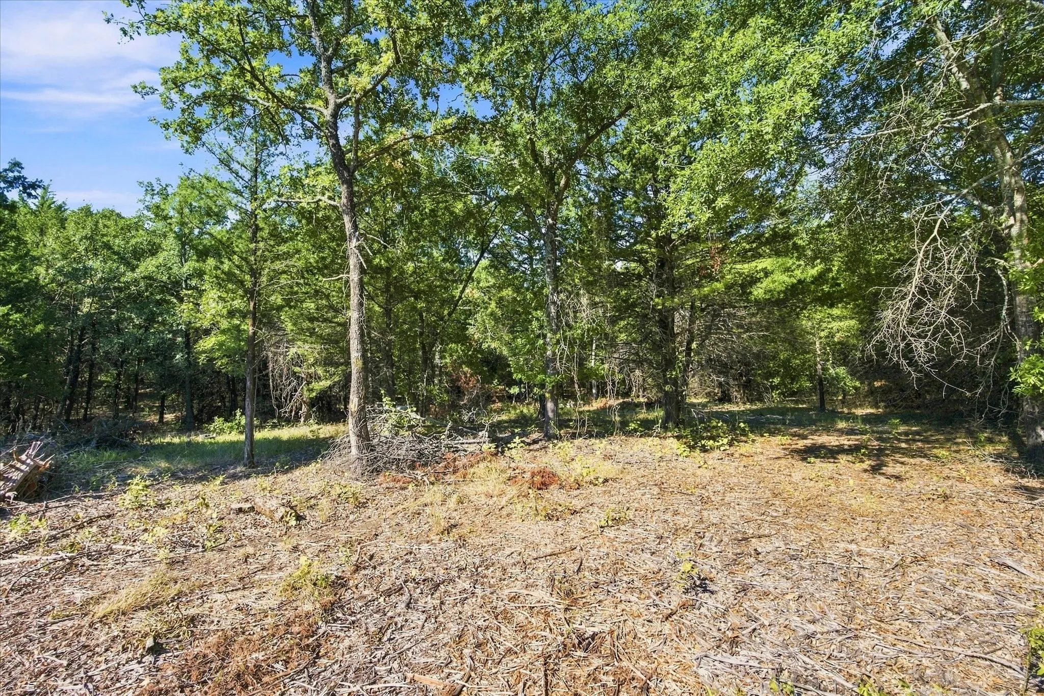 Unimproved Land For Sale in Hunt County , 4428 Cr-3401, Lone Oak, Texas 75453, 0, 0, Garage spaces, 0 Sqft, built in 0, mls#21382860, Real Estate Agent in Lone Oak, Homes For Sale in Hunt county, Homes For Sale in Lone Oak, Realtor in Lone Oak Texas, Real Estate Brokerage Independent Realty Texas, Luminita Cordes Realtor