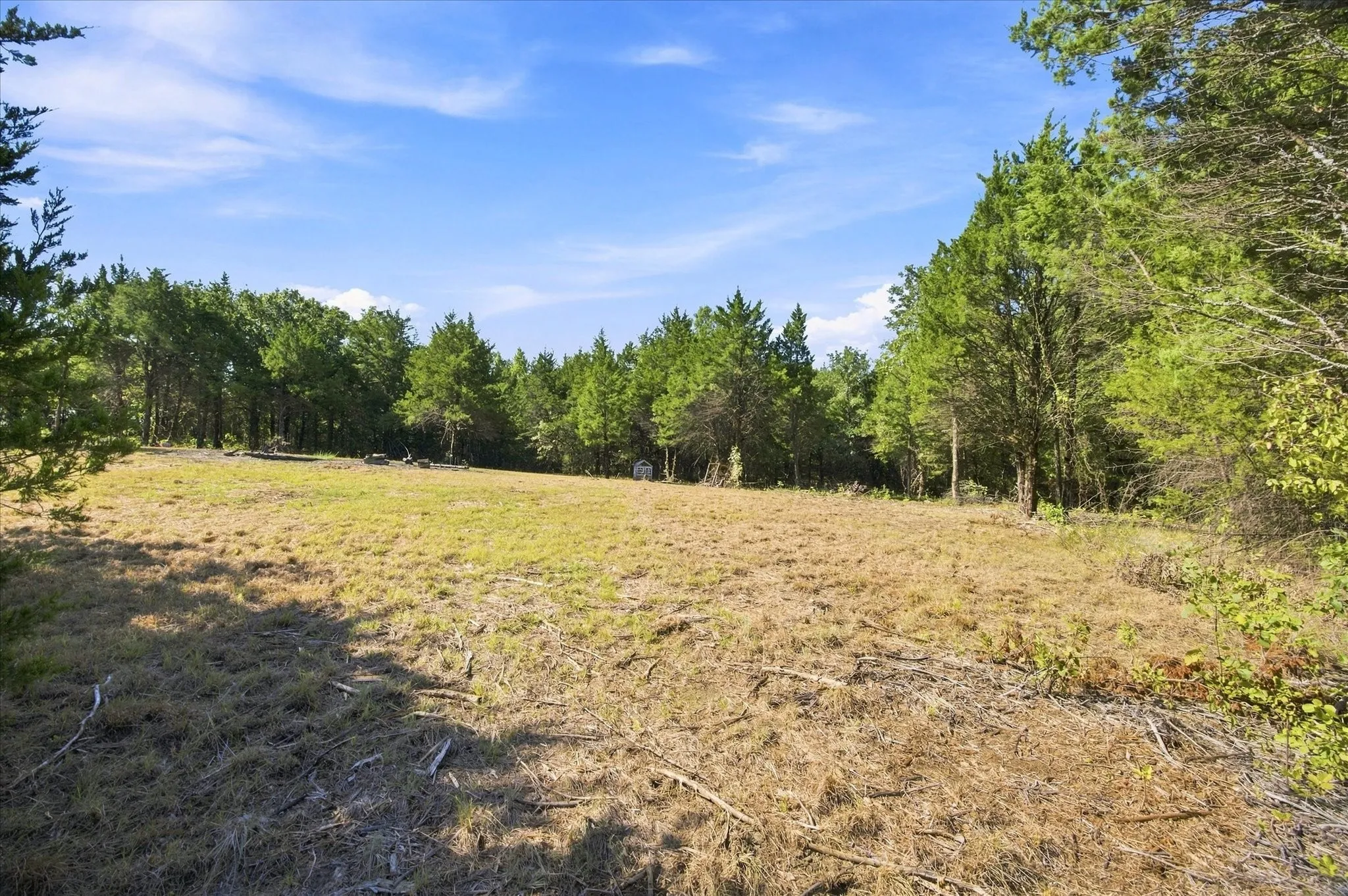 Unimproved Land For Sale in Hunt County , 4428 Cr-3401, Lone Oak, Texas 75453, 0, 0, Garage spaces, 0 Sqft, built in 0, mls#21382860, Real Estate Agent in Lone Oak, Homes For Sale in Hunt county, Homes For Sale in Lone Oak, Realtor in Lone Oak Texas, Real Estate Brokerage Independent Realty Texas, Luminita Cordes Realtor