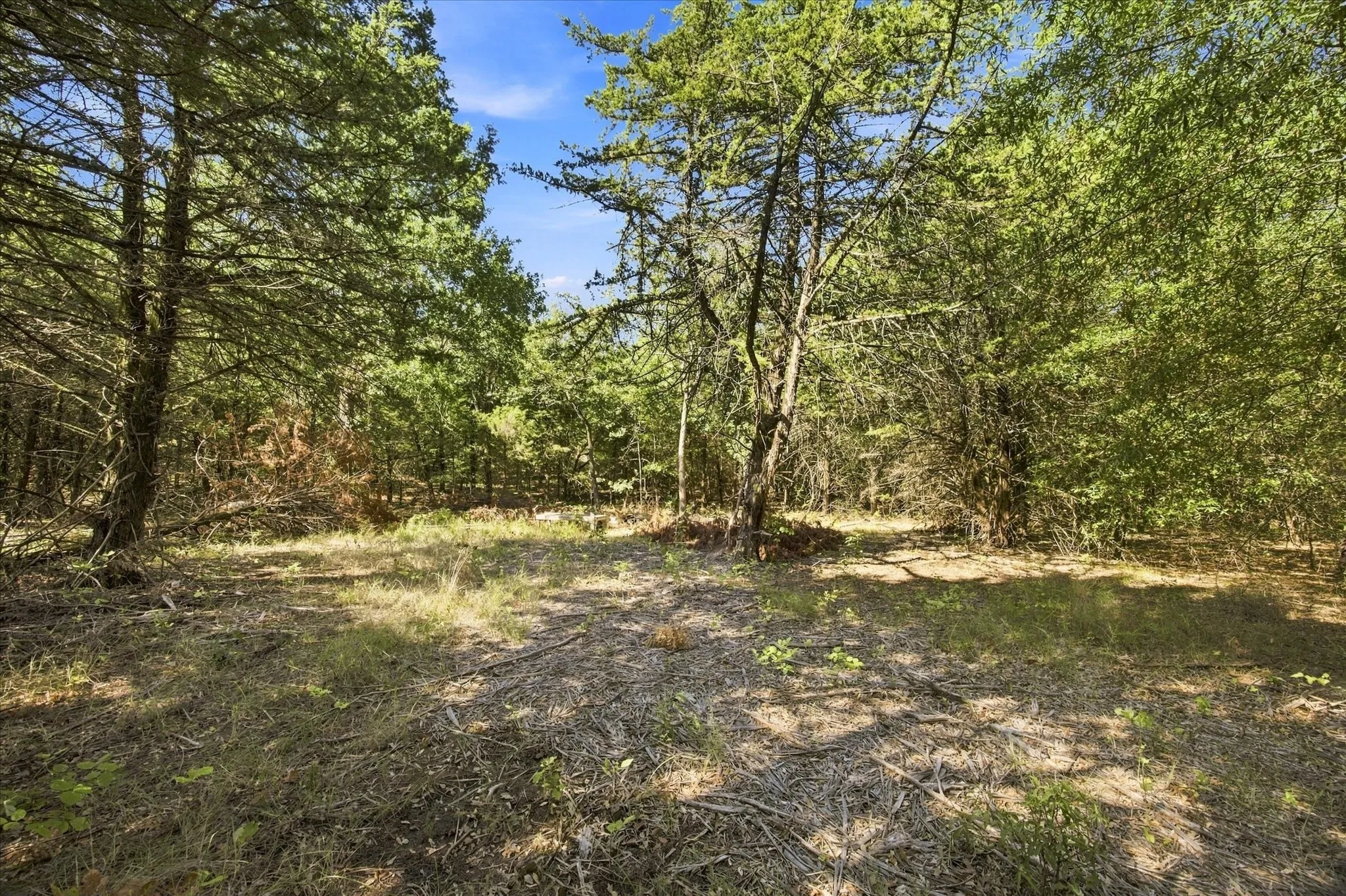 Unimproved Land For Sale in Hunt County , 4428 Cr-3401, Lone Oak, Texas 75453, 0, 0, Garage spaces, 0 Sqft, built in 0, mls#21382860, Real Estate Agent in Lone Oak, Homes For Sale in Hunt county, Homes For Sale in Lone Oak, Realtor in Lone Oak Texas, Real Estate Brokerage Independent Realty Texas, Luminita Cordes Realtor