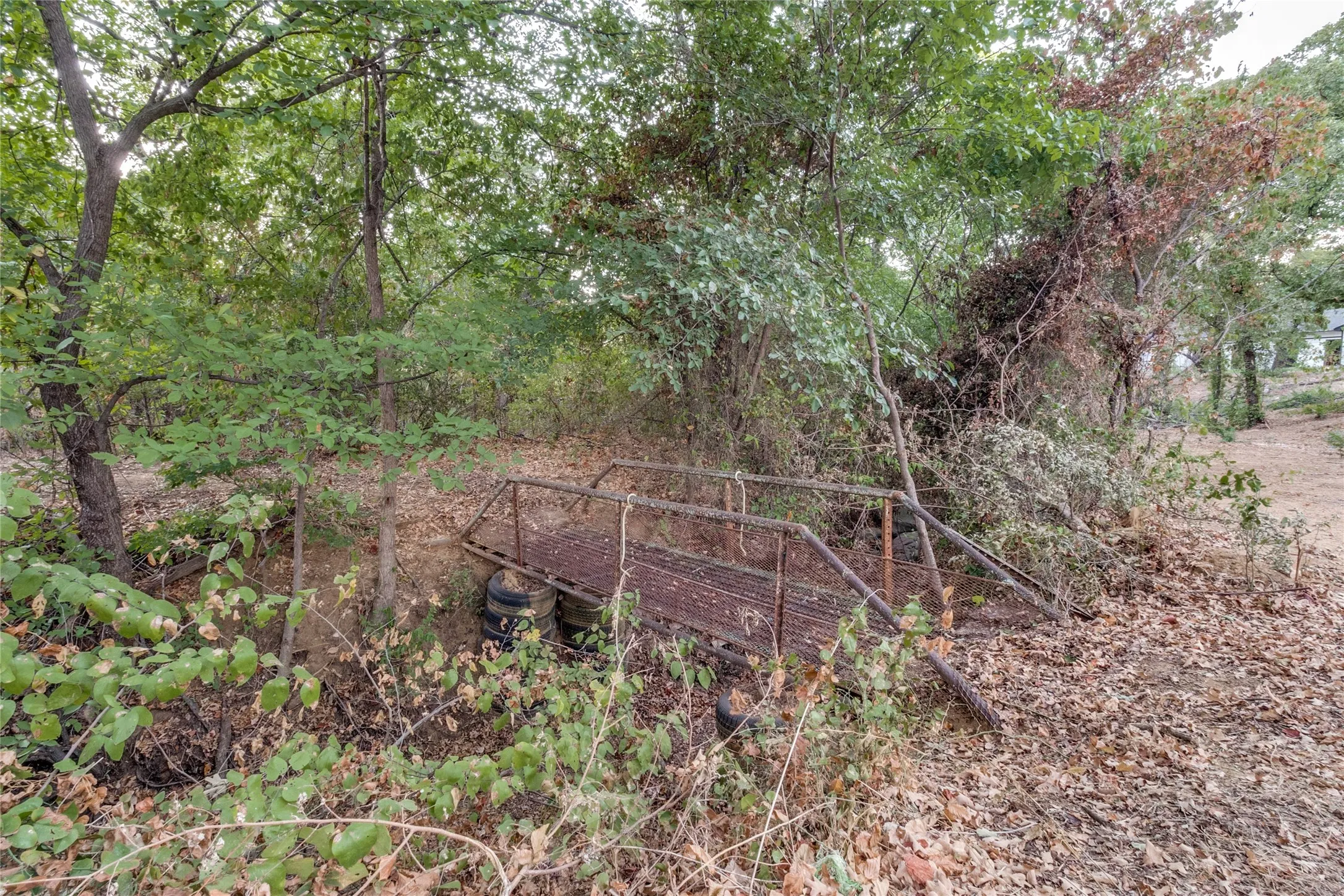 Bridge over creek bed