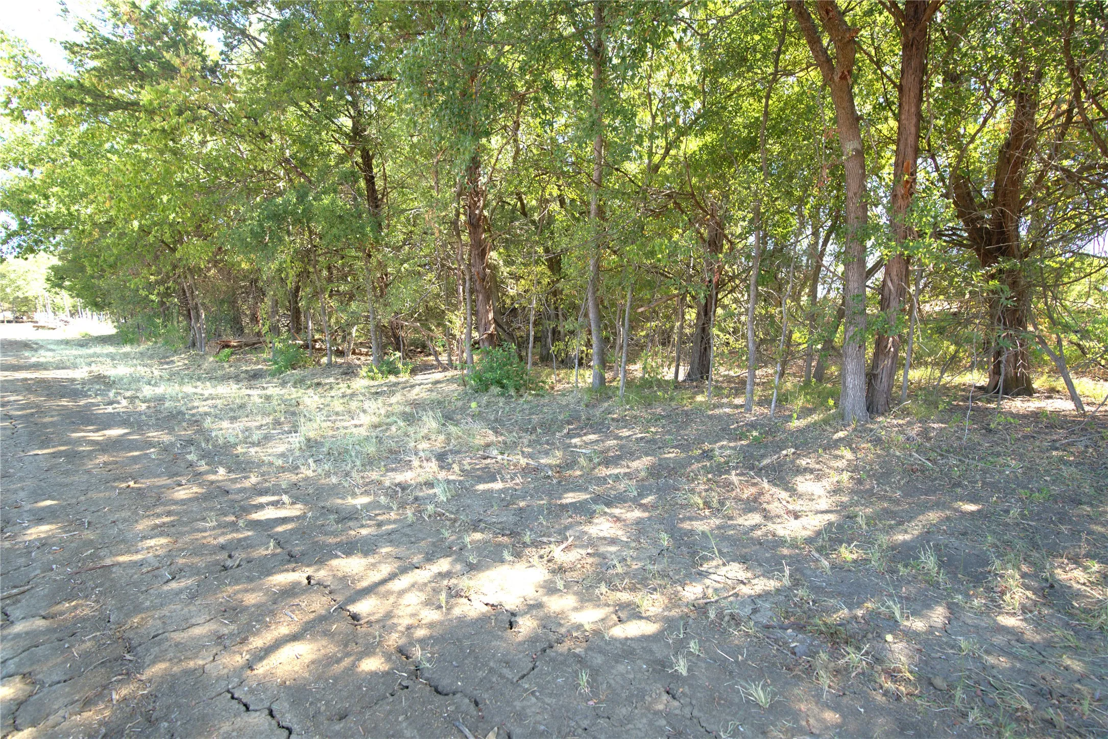 Improved Land For Sale in Lamar County , 43 County Road 42351, Paris, Texas 75462, 0, 0, Garage spaces, 0 Sqft, built in 0, mls#21383907, Real Estate Agent in Paris, Homes For Sale in Lamar county, Homes For Sale in Paris, Realtor in Paris Texas, Real Estate Brokerage Independent Realty Texas, Luminita Cordes Realtor