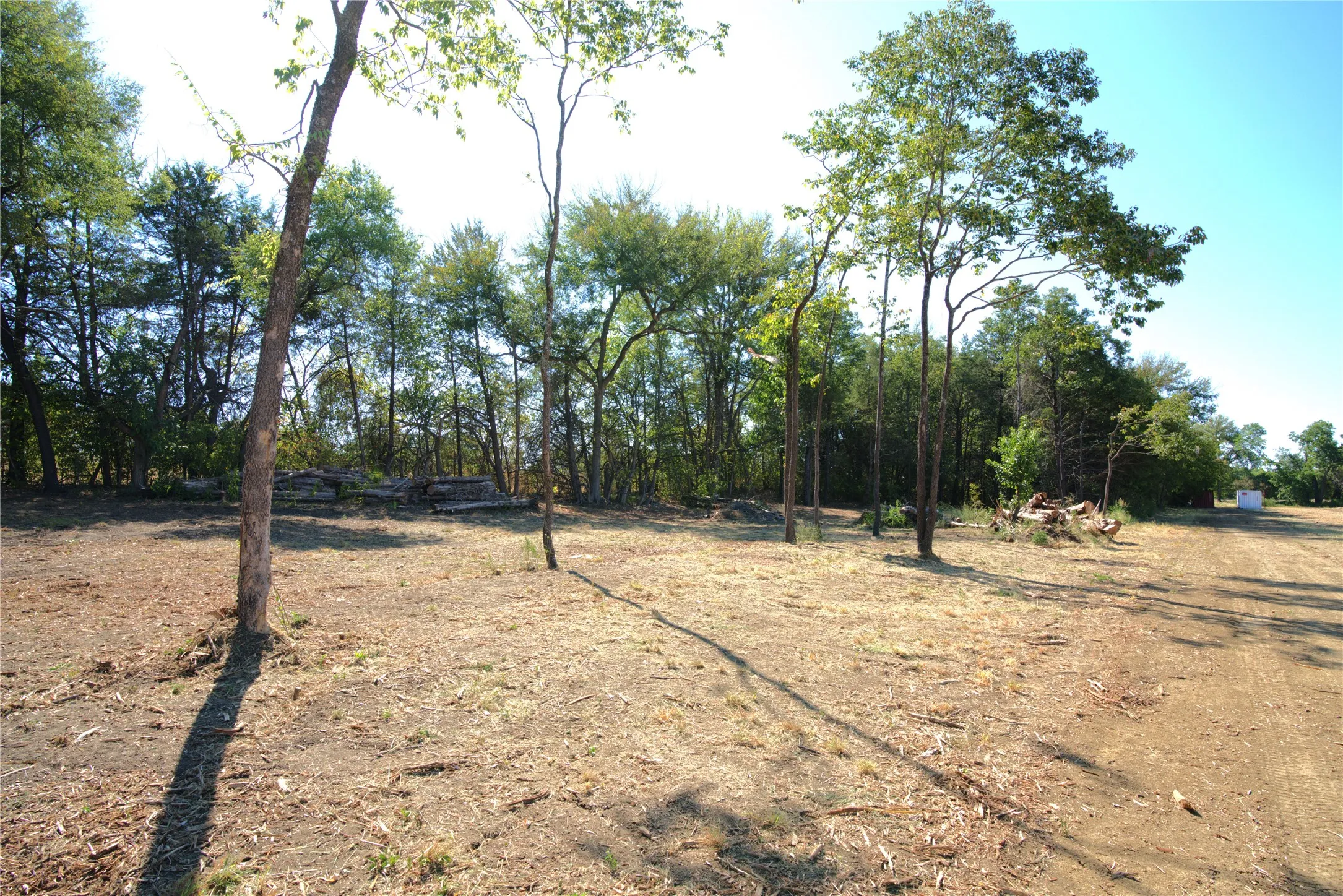 Improved Land For Sale in Lamar County , 43 County Road 42351, Paris, Texas 75462, 0, 0, Garage spaces, 0 Sqft, built in 0, mls#21383907, Real Estate Agent in Paris, Homes For Sale in Lamar county, Homes For Sale in Paris, Realtor in Paris Texas, Real Estate Brokerage Independent Realty Texas, Luminita Cordes Realtor