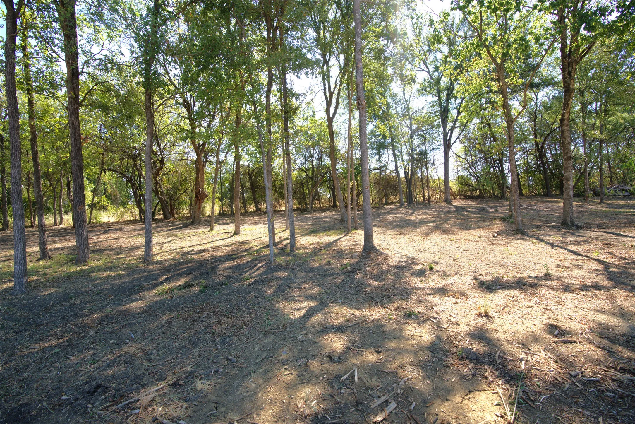 Improved Land For Sale in Lamar County , 43 County Road 42351, Paris, Texas 75462, 0, 0, Garage spaces, 0 Sqft, built in 0, mls#21383907, Real Estate Agent in Paris, Homes For Sale in Lamar county, Homes For Sale in Paris, Realtor in Paris Texas, Real Estate Brokerage Independent Realty Texas, Luminita Cordes Realtor