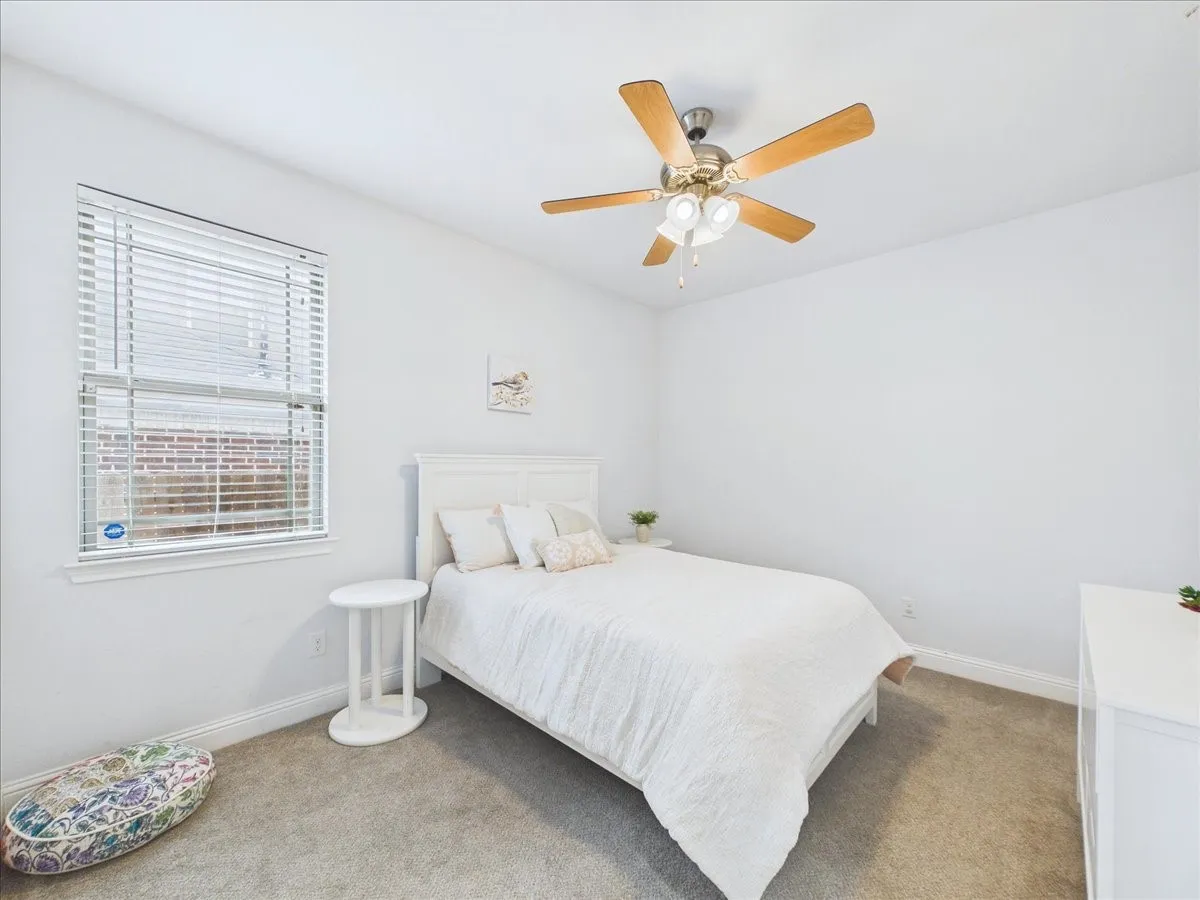 Carpeted room with a ceiling fan, window with blinds, and white painted walls