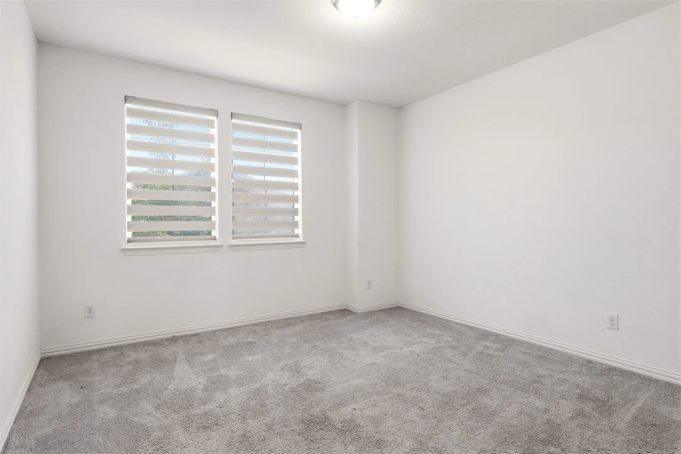 Neutral color palette featuring light gray carpet, white walls, and bright white trim