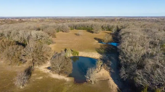 Ranch For Sale in Fannin County , 446 Fm 274, Ravenna, Texas 75476, 0, 0, Garage spaces, 0 Sqft, built in 2001, mls#21384043, Real Estate Agent in Ravenna, Homes For Sale in Fannin county, Homes For Sale in Ravenna, Realtor in Ravenna Texas, Real Estate Brokerage Independent Realty Texas, Luminita Cordes Realtor