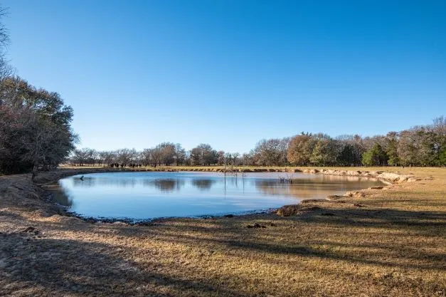 Ranch For Sale in Fannin County , 446 Fm 274, Ravenna, Texas 75476, 0, 0, Garage spaces, 0 Sqft, built in 2001, mls#21384043, Real Estate Agent in Ravenna, Homes For Sale in Fannin county, Homes For Sale in Ravenna, Realtor in Ravenna Texas, Real Estate Brokerage Independent Realty Texas, Luminita Cordes Realtor