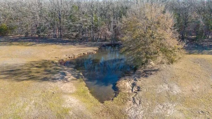 Ranch For Sale in Fannin County , 446 Fm 274, Ravenna, Texas 75476, 0, 0, Garage spaces, 0 Sqft, built in 2001, mls#21384043, Real Estate Agent in Ravenna, Homes For Sale in Fannin county, Homes For Sale in Ravenna, Realtor in Ravenna Texas, Real Estate Brokerage Independent Realty Texas, Luminita Cordes Realtor