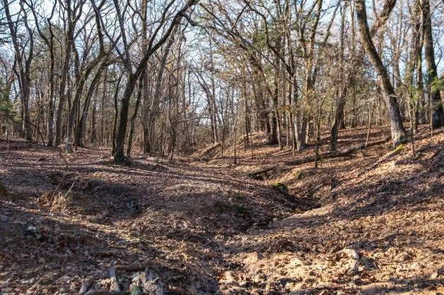 Ranch For Sale in Fannin County , 446 Fm 274, Ravenna, Texas 75476, 0, 0, Garage spaces, 0 Sqft, built in 2001, mls#21384043, Real Estate Agent in Ravenna, Homes For Sale in Fannin county, Homes For Sale in Ravenna, Realtor in Ravenna Texas, Real Estate Brokerage Independent Realty Texas, Luminita Cordes Realtor