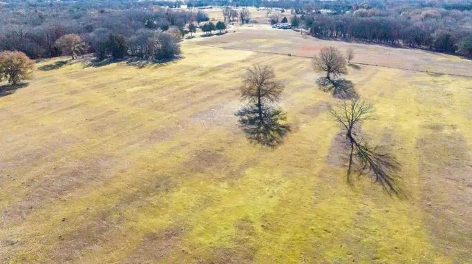 Ranch For Sale in Fannin County , 446 Fm 274, Ravenna, Texas 75476, 0, 0, Garage spaces, 0 Sqft, built in 2001, mls#21384043, Real Estate Agent in Ravenna, Homes For Sale in Fannin county, Homes For Sale in Ravenna, Realtor in Ravenna Texas, Real Estate Brokerage Independent Realty Texas, Luminita Cordes Realtor
