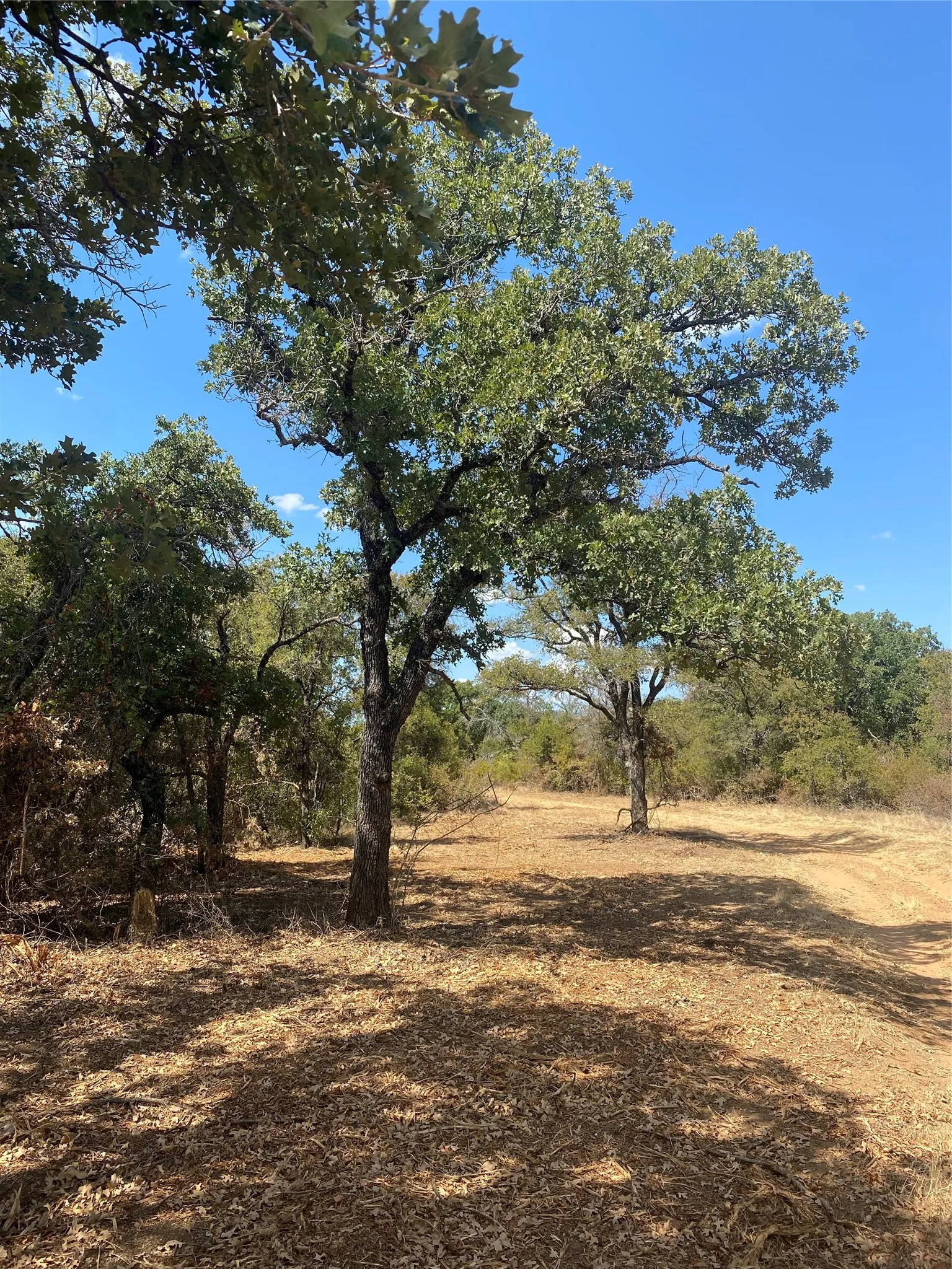 Ranch For Sale in Palo Pinto County , FM 2692 HWY Highway, Santo, Texas 76472, 0, 0, Garage spaces, 0 Sqft, built in 0, mls#21383723, Real Estate Agent in Santo, Homes For Sale in Palo Pinto county, Homes For Sale in Santo, Realtor in Santo Texas, Real Estate Brokerage Independent Realty Texas, Luminita Cordes Realtor