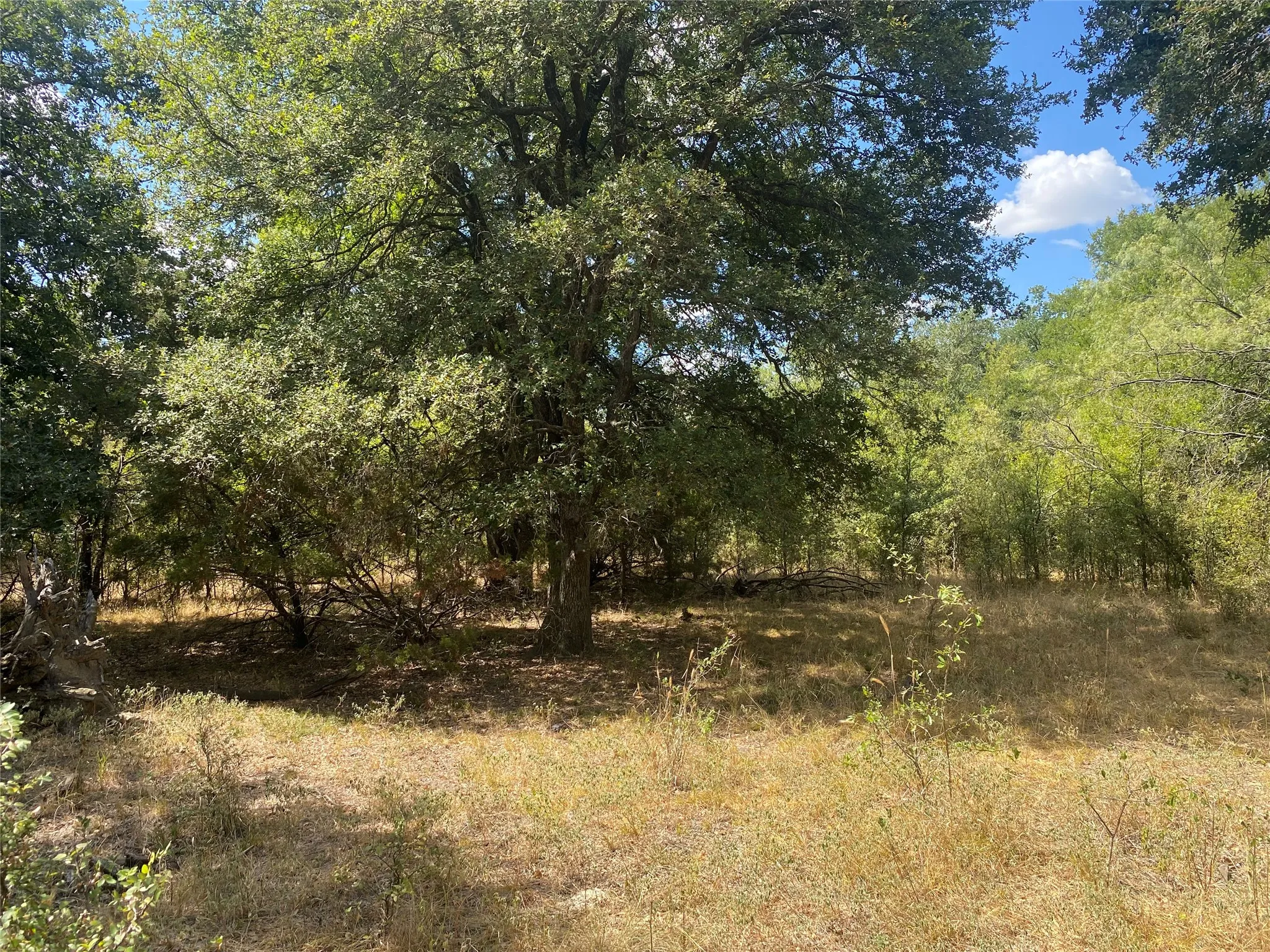 Ranch For Sale in Palo Pinto County , FM 2692 HWY Highway, Santo, Texas 76472, 0, 0, Garage spaces, 0 Sqft, built in 0, mls#21383723, Real Estate Agent in Santo, Homes For Sale in Palo Pinto county, Homes For Sale in Santo, Realtor in Santo Texas, Real Estate Brokerage Independent Realty Texas, Luminita Cordes Realtor