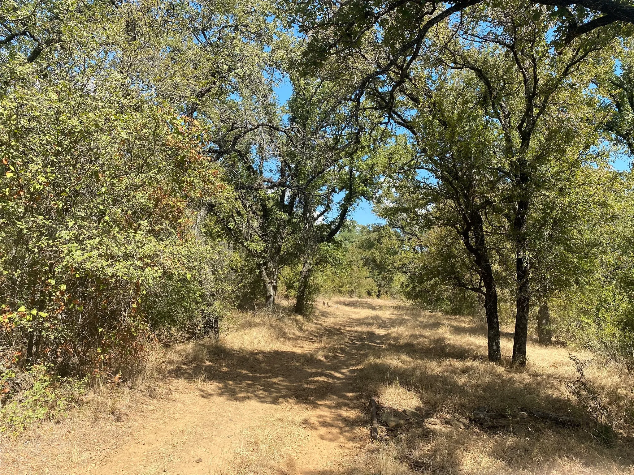 Ranch For Sale in Palo Pinto County , FM 2692 HWY Highway, Santo, Texas 76472, 0, 0, Garage spaces, 0 Sqft, built in 0, mls#21383723, Real Estate Agent in Santo, Homes For Sale in Palo Pinto county, Homes For Sale in Santo, Realtor in Santo Texas, Real Estate Brokerage Independent Realty Texas, Luminita Cordes Realtor