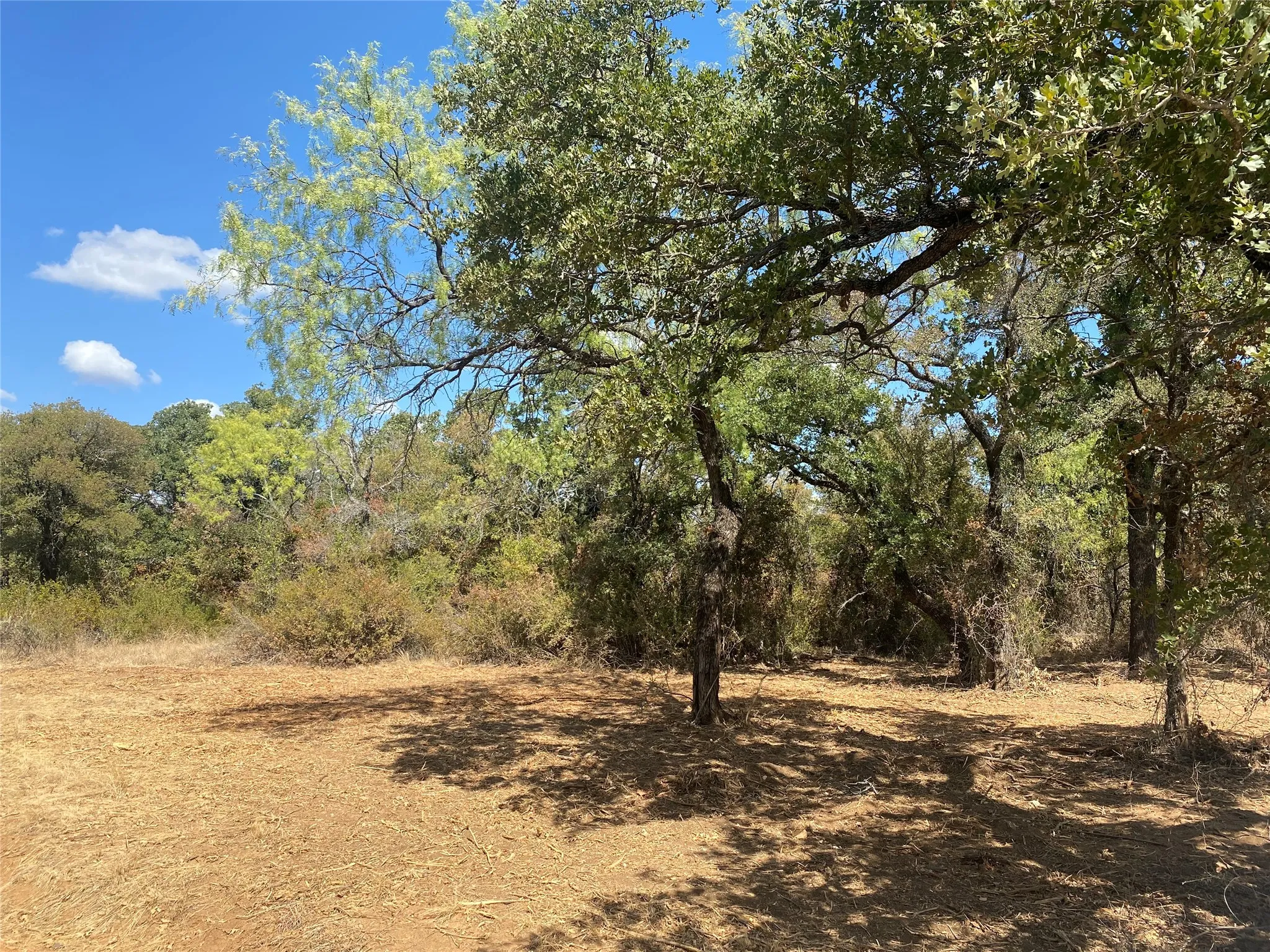 Ranch For Sale in Palo Pinto County , FM 2692 HWY Highway, Santo, Texas 76472, 0, 0, Garage spaces, 0 Sqft, built in 0, mls#21383723, Real Estate Agent in Santo, Homes For Sale in Palo Pinto county, Homes For Sale in Santo, Realtor in Santo Texas, Real Estate Brokerage Independent Realty Texas, Luminita Cordes Realtor