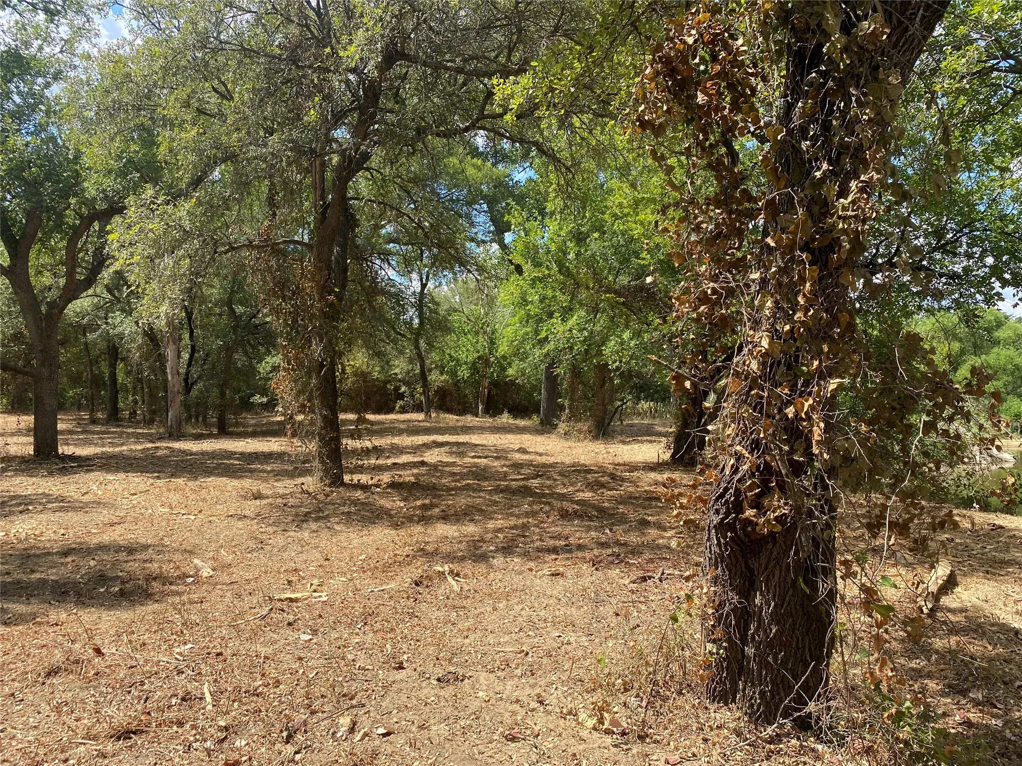 Ranch For Sale in Palo Pinto County , FM 2692 HWY Highway, Santo, Texas 76472, 0, 0, Garage spaces, 0 Sqft, built in 0, mls#21383723, Real Estate Agent in Santo, Homes For Sale in Palo Pinto county, Homes For Sale in Santo, Realtor in Santo Texas, Real Estate Brokerage Independent Realty Texas, Luminita Cordes Realtor
