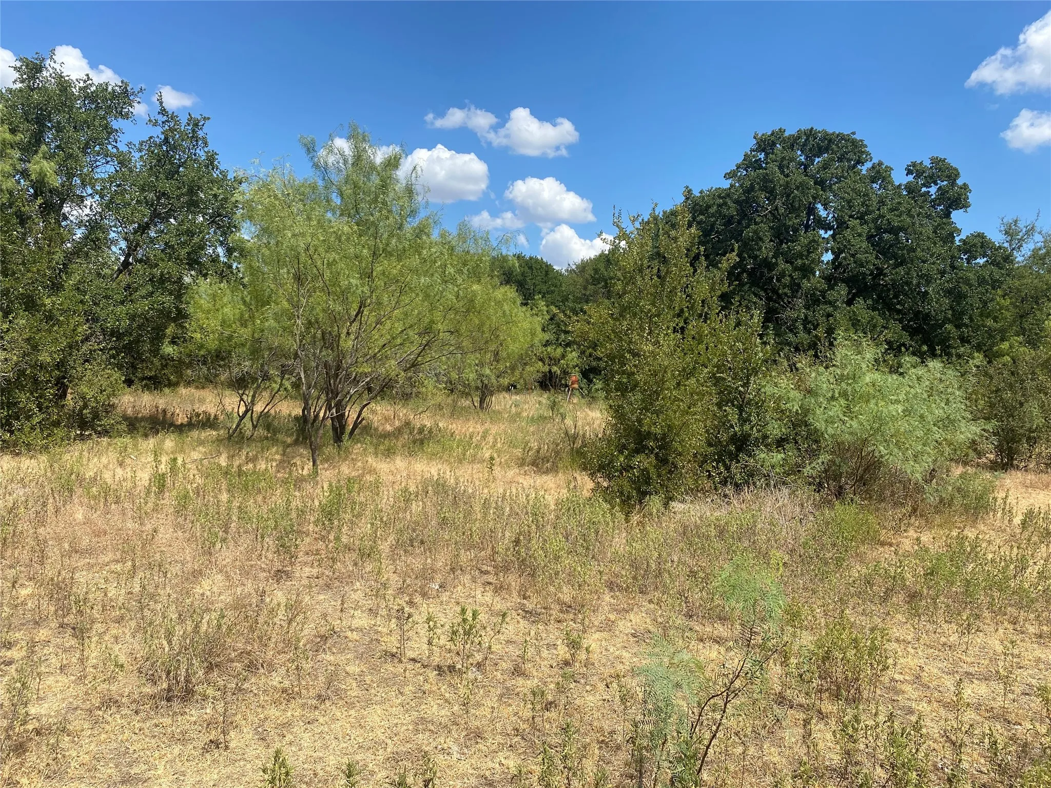 Ranch For Sale in Palo Pinto County , FM 2692 HWY Highway, Santo, Texas 76472, 0, 0, Garage spaces, 0 Sqft, built in 0, mls#21383723, Real Estate Agent in Santo, Homes For Sale in Palo Pinto county, Homes For Sale in Santo, Realtor in Santo Texas, Real Estate Brokerage Independent Realty Texas, Luminita Cordes Realtor