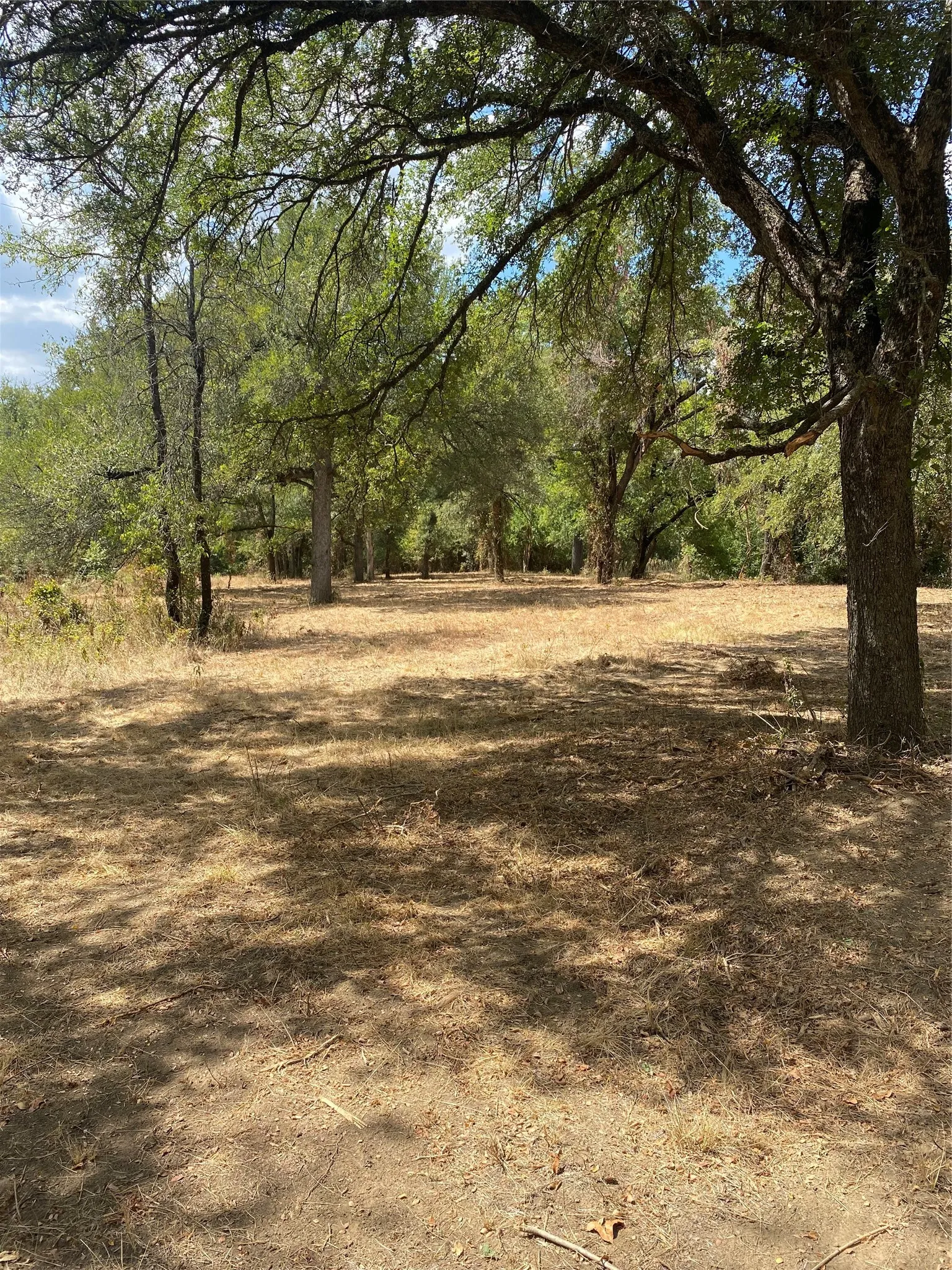 Ranch For Sale in Palo Pinto County , FM 2692 HWY Highway, Santo, Texas 76472, 0, 0, Garage spaces, 0 Sqft, built in 0, mls#21383723, Real Estate Agent in Santo, Homes For Sale in Palo Pinto county, Homes For Sale in Santo, Realtor in Santo Texas, Real Estate Brokerage Independent Realty Texas, Luminita Cordes Realtor