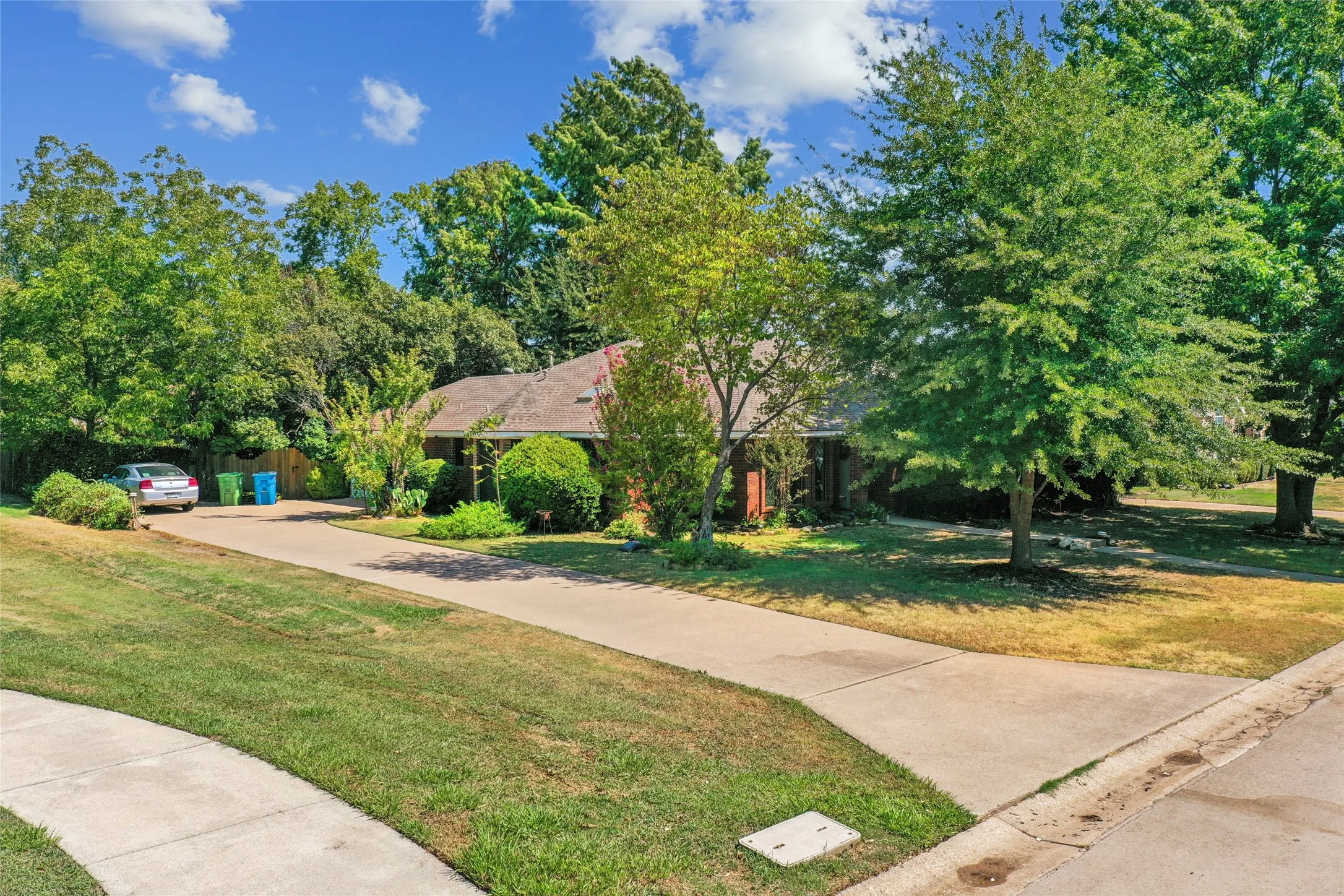 Expansive concrete driveway, mature trees, manicured lawn, and lush landscaping