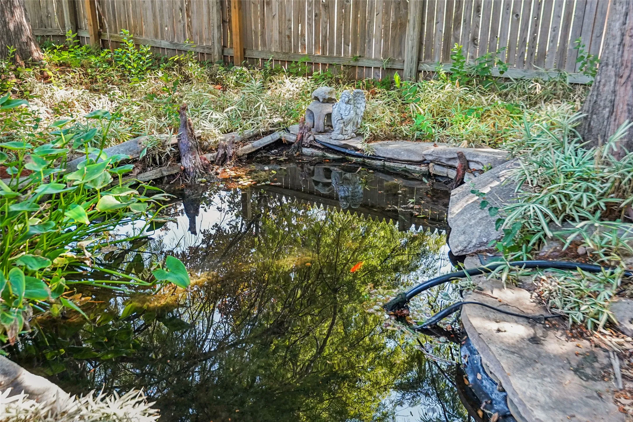 Water feature with natural stone edging, surrounded by established plantings and a wood fence