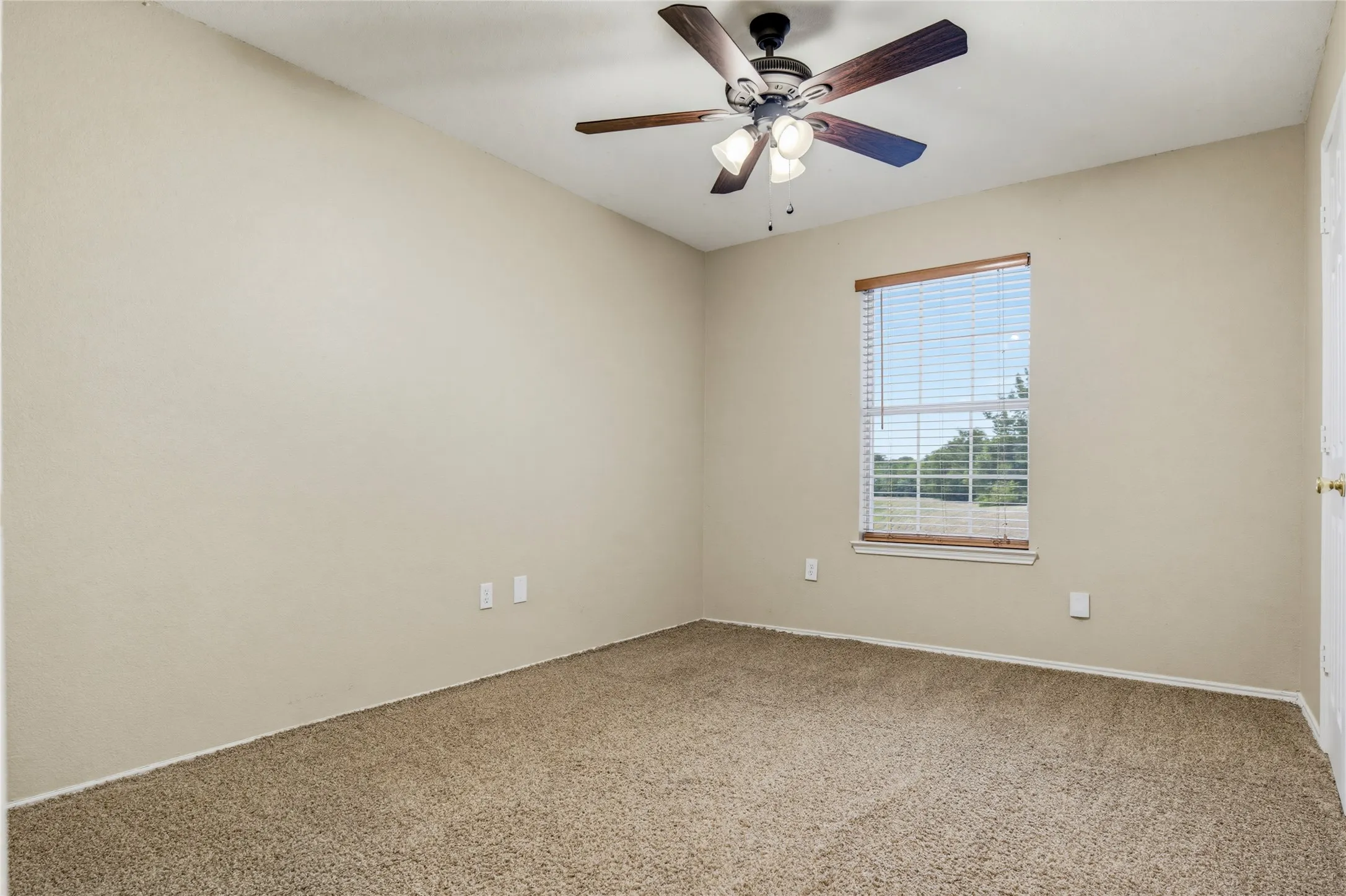 Ceiling fan with light kit, single window with blinds, wood-finish window trim, and neutral-tone carpeting