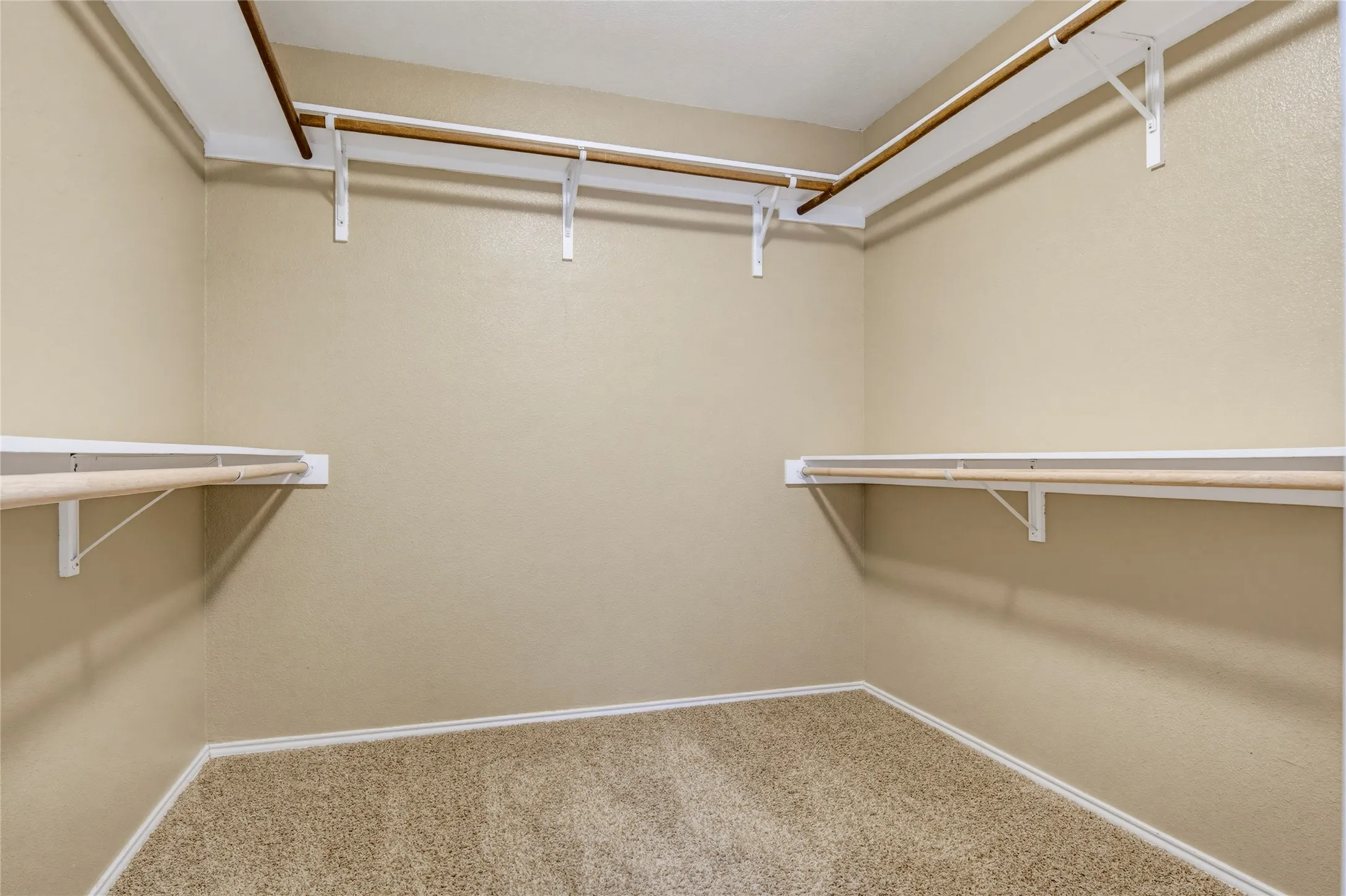 Walk-in closet featuring carpet flooring, built-in shelving, and wood-finish hanging rods