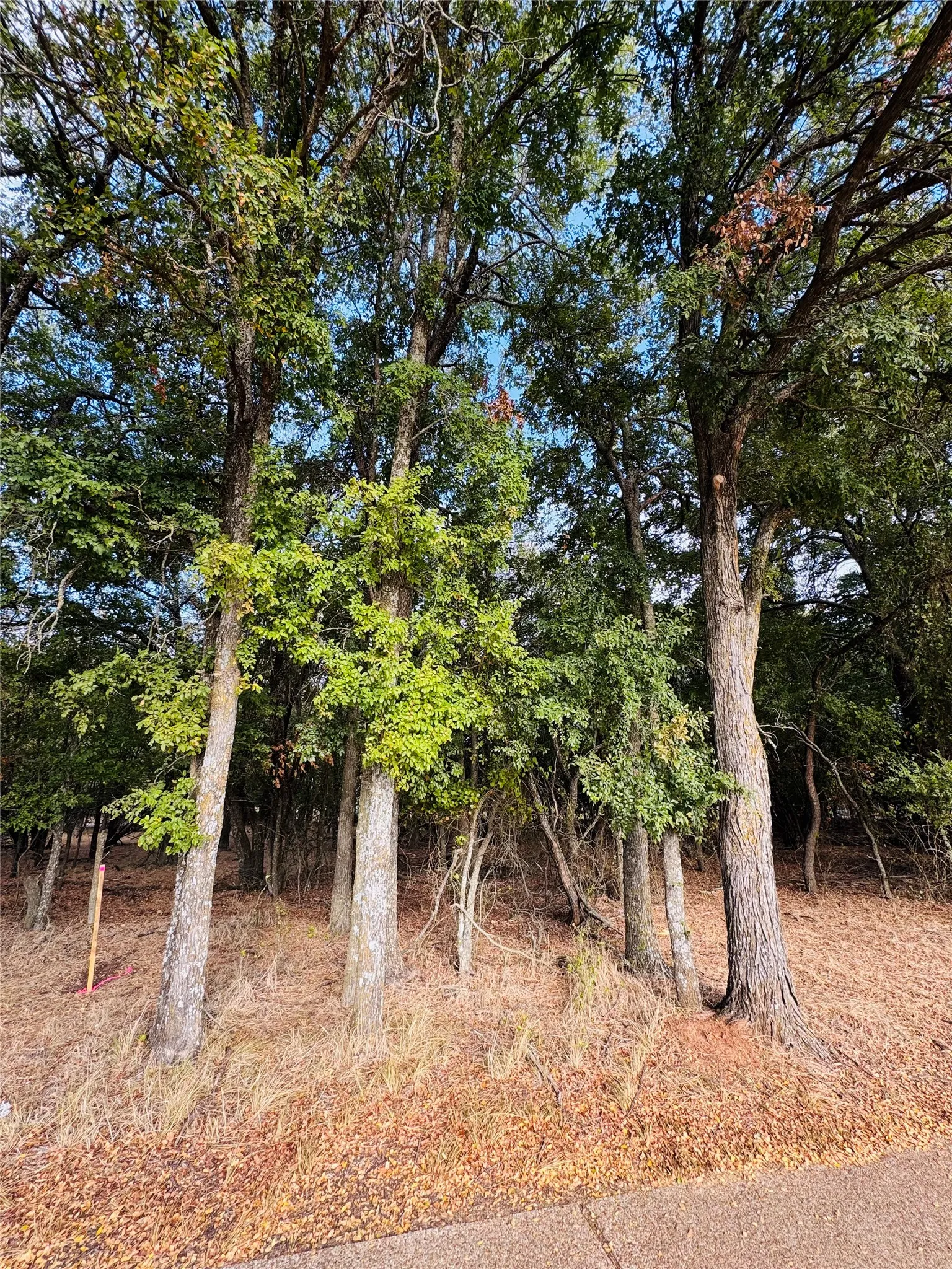 Unimproved Land For Sale in Hill County , 7103 Cedar Valley Drive, Whitney, Texas 76692, 0, 0, Garage spaces, 0 Sqft, built in 0, mls#21384173, Real Estate Agent in Whitney, Homes For Sale in Hill county, Homes For Sale in Whitney, Realtor in Whitney Texas, Real Estate Brokerage Independent Realty Texas, Luminita Cordes Realtor