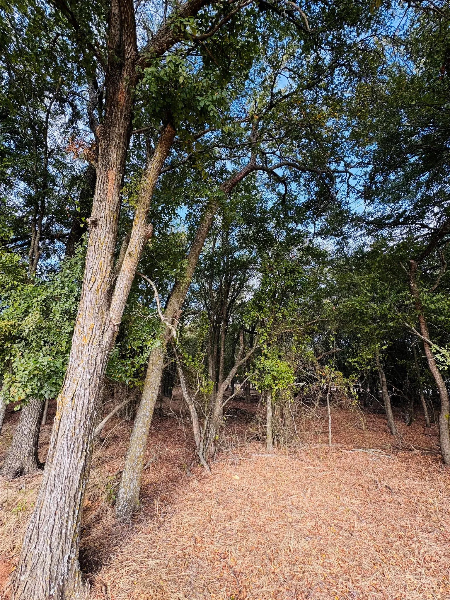 Unimproved Land For Sale in Hill County , 7103 Cedar Valley Drive, Whitney, Texas 76692, 0, 0, Garage spaces, 0 Sqft, built in 0, mls#21384173, Real Estate Agent in Whitney, Homes For Sale in Hill county, Homes For Sale in Whitney, Realtor in Whitney Texas, Real Estate Brokerage Independent Realty Texas, Luminita Cordes Realtor