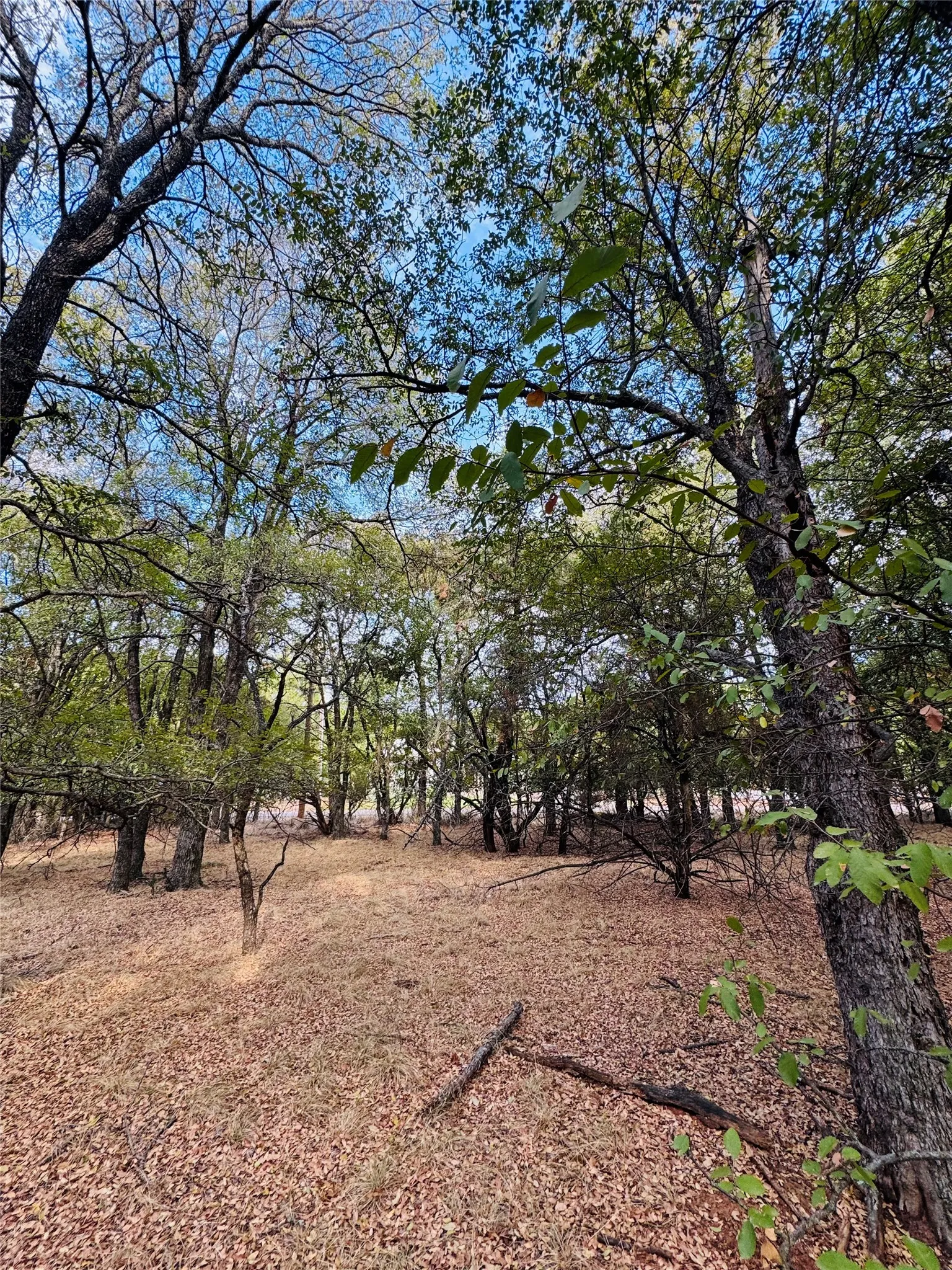 Unimproved Land For Sale in Hill County , 7103 Cedar Valley Drive, Whitney, Texas 76692, 0, 0, Garage spaces, 0 Sqft, built in 0, mls#21384173, Real Estate Agent in Whitney, Homes For Sale in Hill county, Homes For Sale in Whitney, Realtor in Whitney Texas, Real Estate Brokerage Independent Realty Texas, Luminita Cordes Realtor