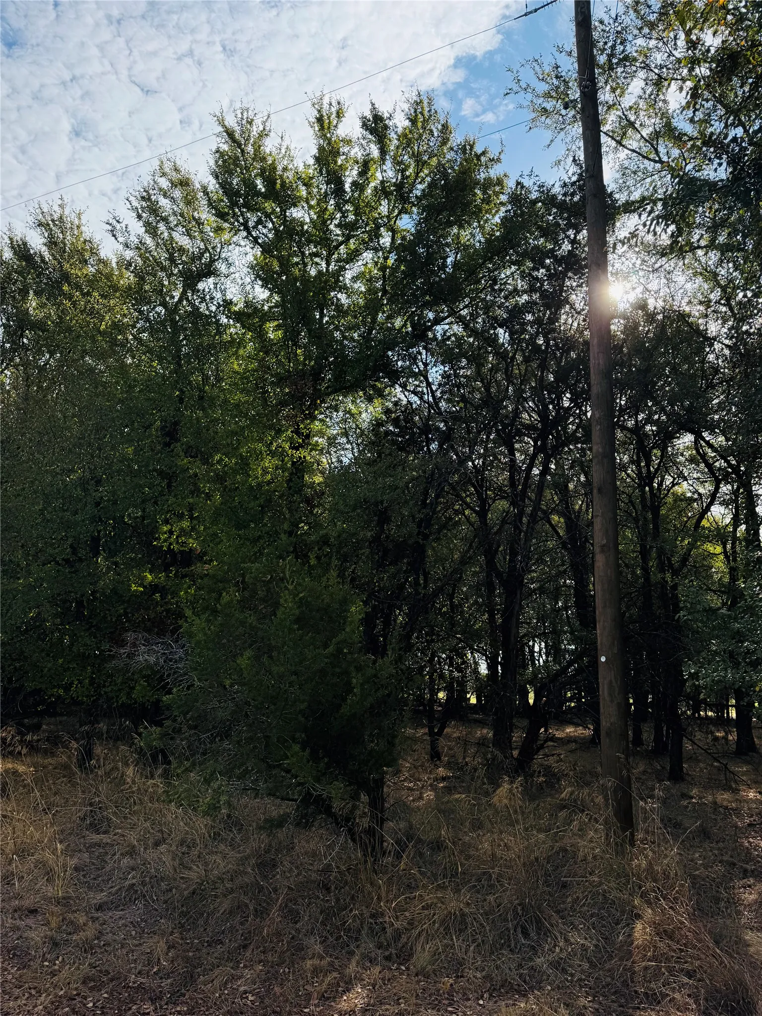 Unimproved Land For Sale in Hill County , 7103 Cedar Valley Drive, Whitney, Texas 76692, 0, 0, Garage spaces, 0 Sqft, built in 0, mls#21384173, Real Estate Agent in Whitney, Homes For Sale in Hill county, Homes For Sale in Whitney, Realtor in Whitney Texas, Real Estate Brokerage Independent Realty Texas, Luminita Cordes Realtor