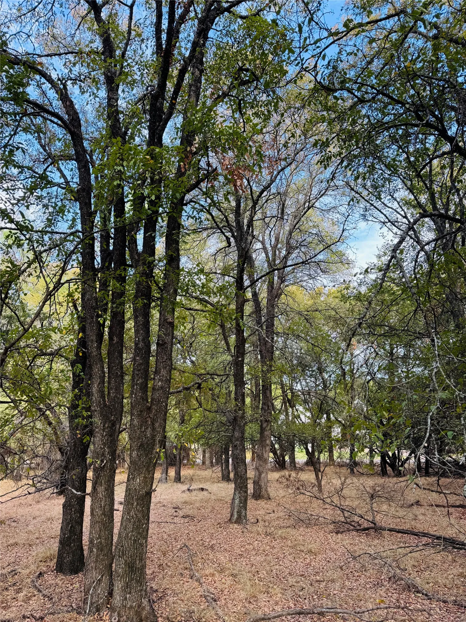 Unimproved Land For Sale in Hill County , 7103 Cedar Valley Drive, Whitney, Texas 76692, 0, 0, Garage spaces, 0 Sqft, built in 0, mls#21384173, Real Estate Agent in Whitney, Homes For Sale in Hill county, Homes For Sale in Whitney, Realtor in Whitney Texas, Real Estate Brokerage Independent Realty Texas, Luminita Cordes Realtor