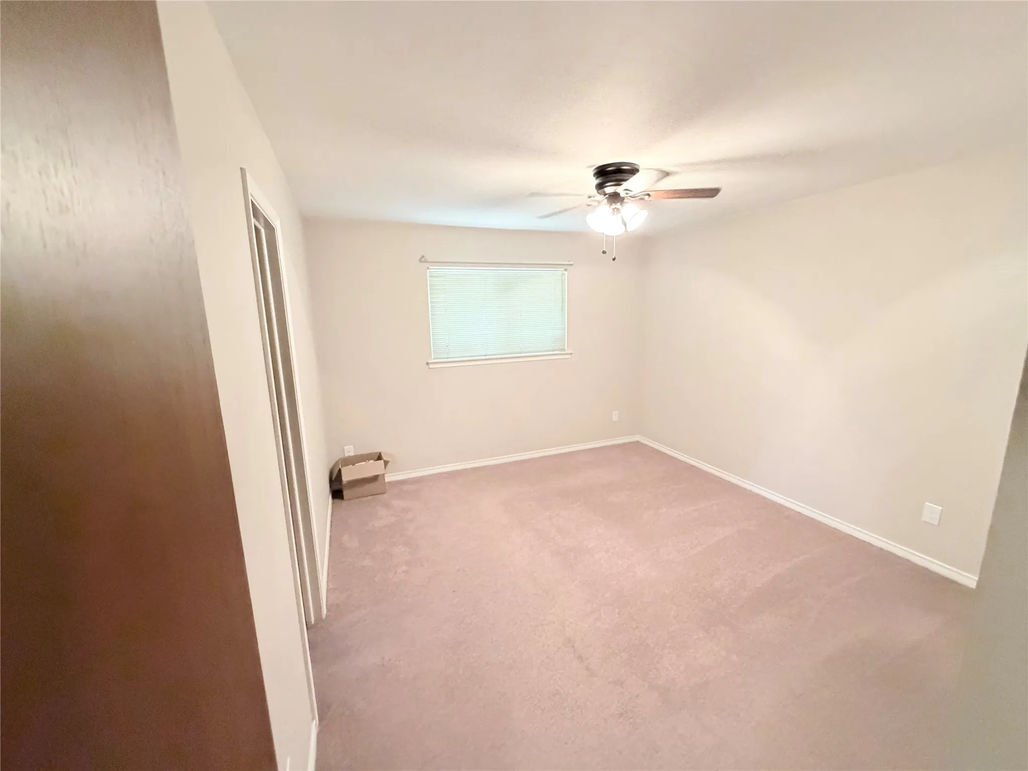 Light-toned carpeting and neutral wall tones