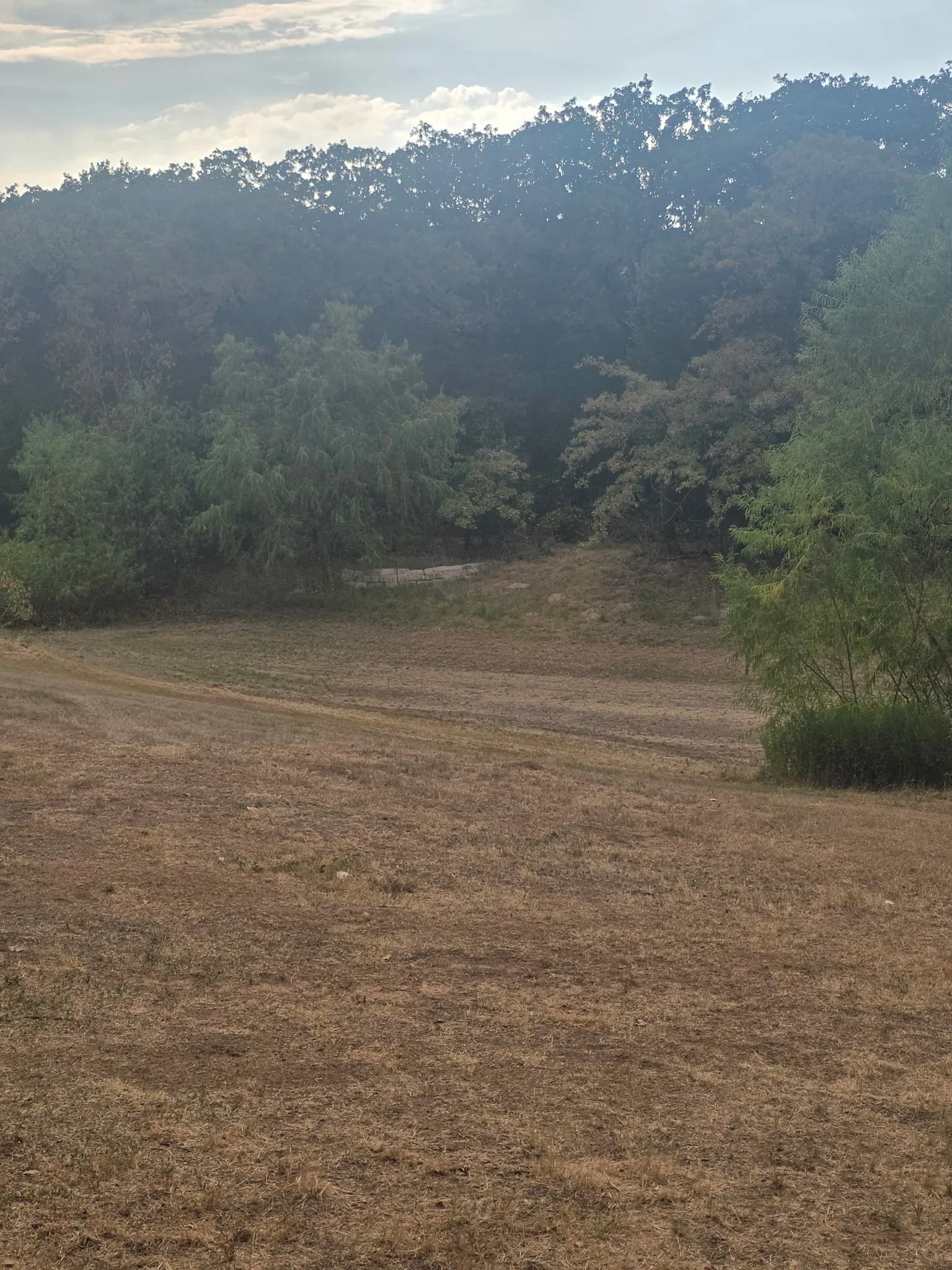 Farm For Sale in Hill County , 490 HCR 1250, Whitney, Texas 76692, 0, 2 Bathroom, Garage spaces, 480 Sqft, built in 1900, mls#21374009, Real Estate Agent in Whitney, Homes For Sale in Hill county, Homes For Sale in Whitney, Realtor in Whitney Texas, Real Estate Brokerage Independent Realty Texas, Luminita Cordes Realtor