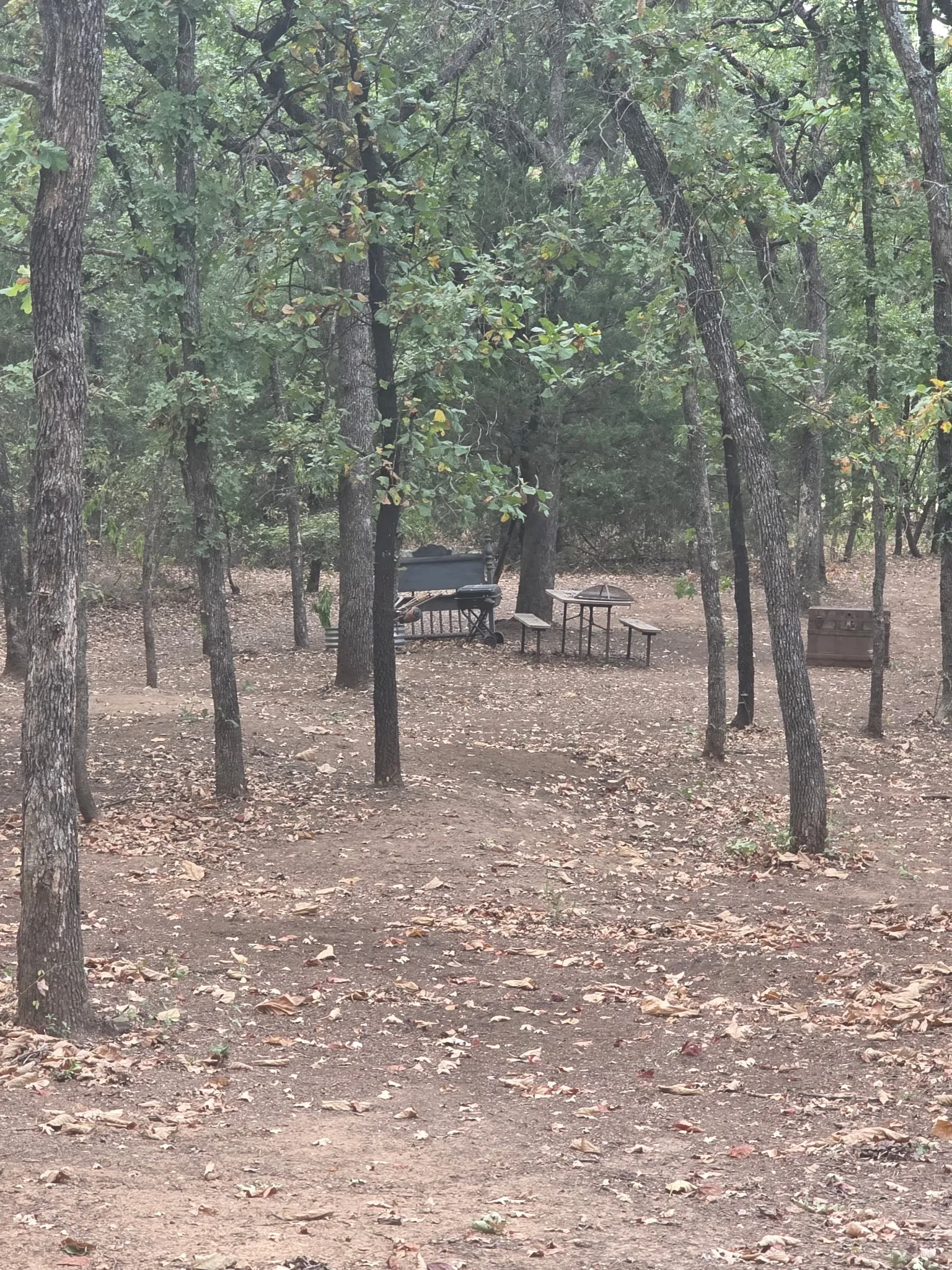 Farm For Sale in Hill County , 490 HCR 1250, Whitney, Texas 76692, 0, 2 Bathroom, Garage spaces, 480 Sqft, built in 1900, mls#21374009, Real Estate Agent in Whitney, Homes For Sale in Hill county, Homes For Sale in Whitney, Realtor in Whitney Texas, Real Estate Brokerage Independent Realty Texas, Luminita Cordes Realtor