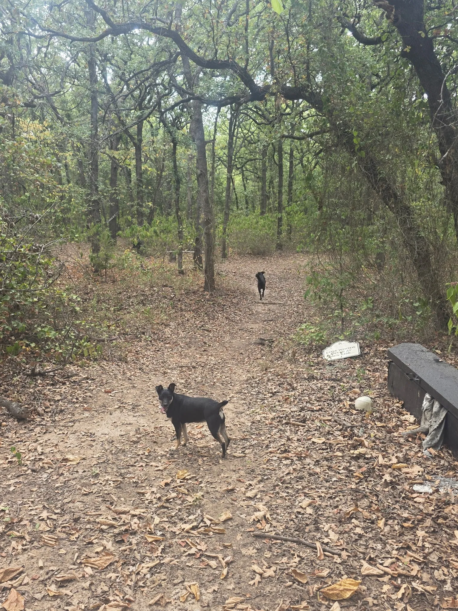 Farm For Sale in Hill County , 490 HCR 1250, Whitney, Texas 76692, 0, 2 Bathroom, Garage spaces, 480 Sqft, built in 1900, mls#21374009, Real Estate Agent in Whitney, Homes For Sale in Hill county, Homes For Sale in Whitney, Realtor in Whitney Texas, Real Estate Brokerage Independent Realty Texas, Luminita Cordes Realtor