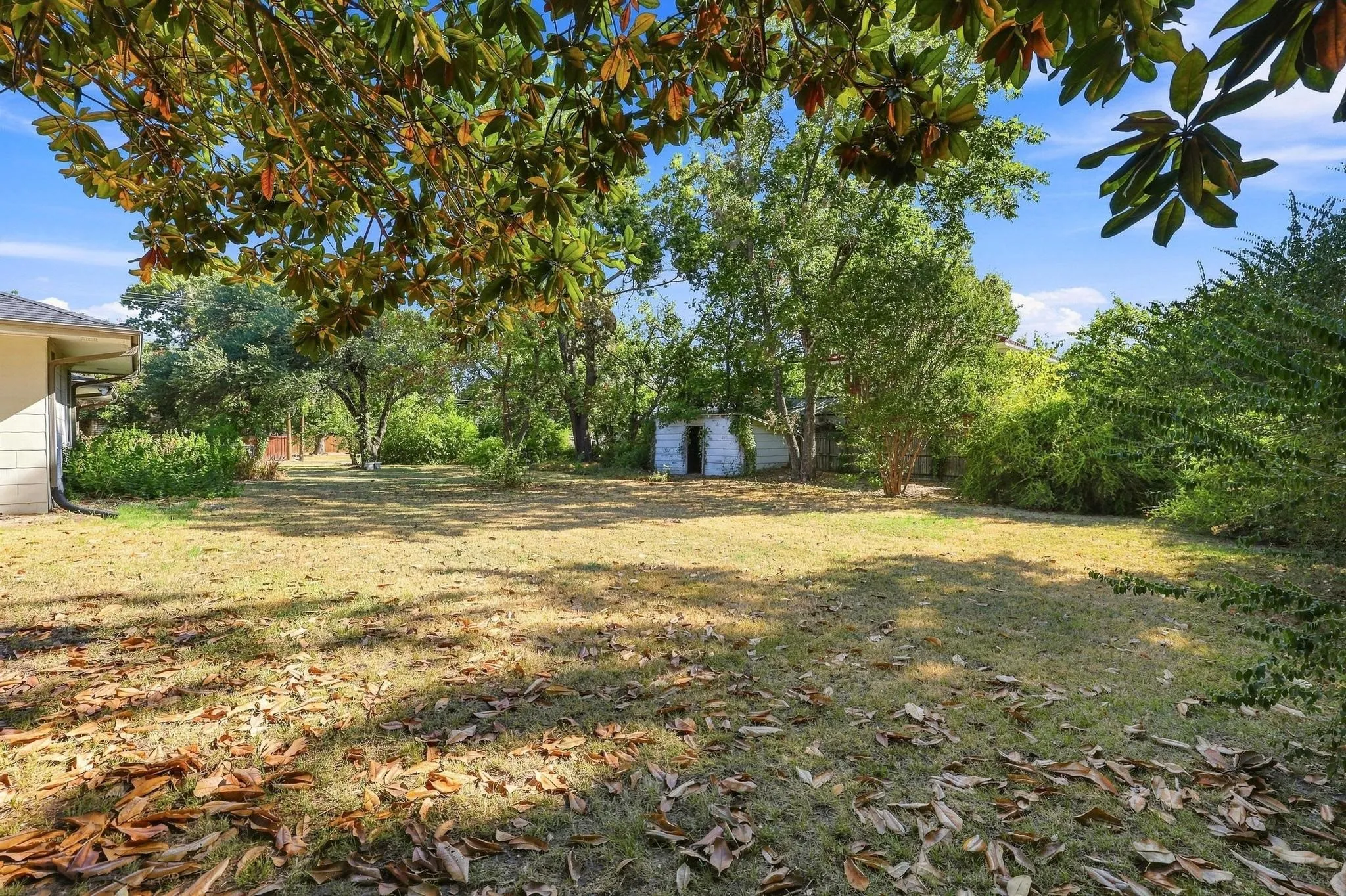 Expansive outdoor area featuring a grassy lawn, mature trees (including a large Magnolia), and a storage shed.