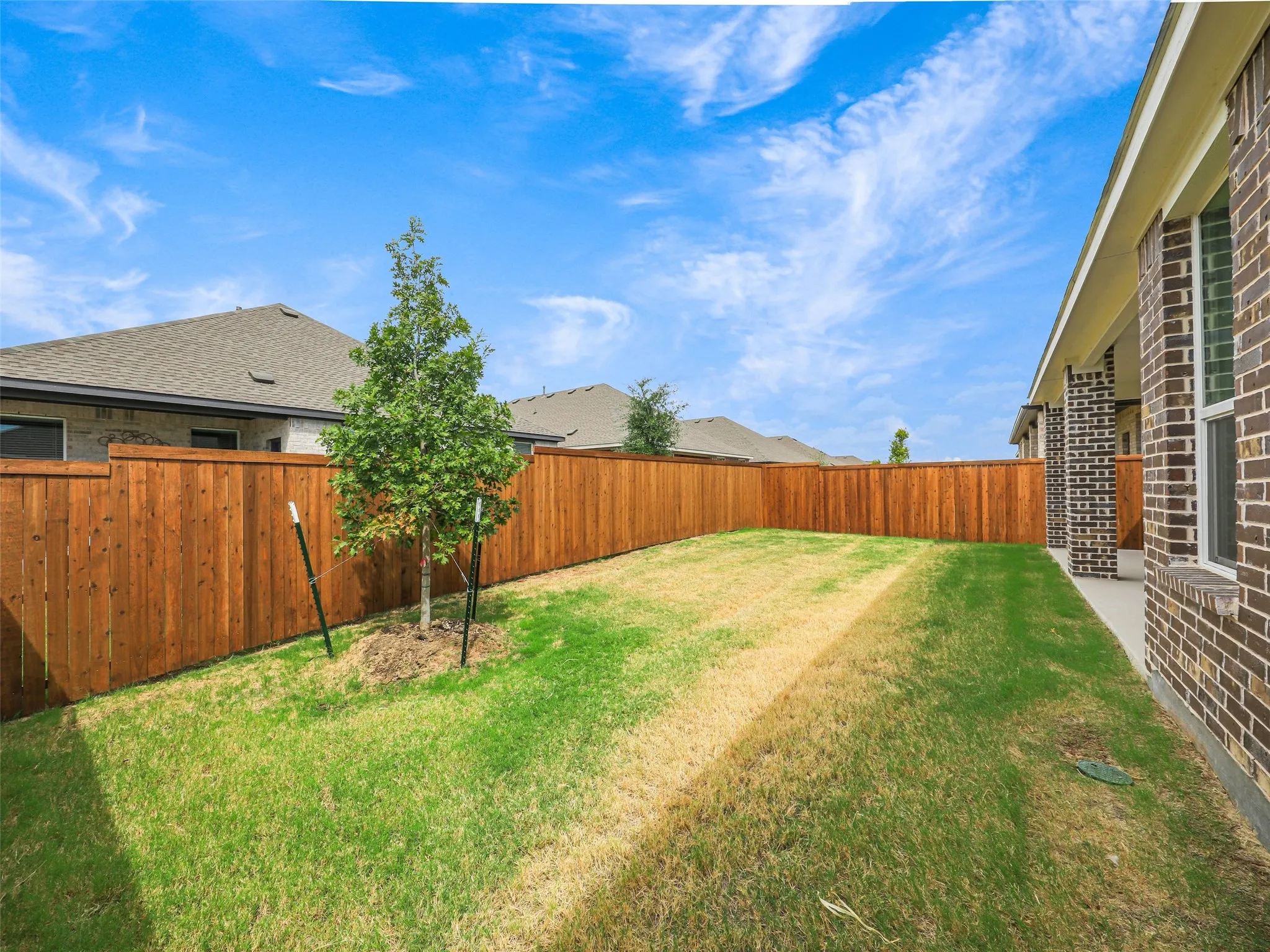 Expansive backyard featuring a manicured lawn, perimeter wood fencing, and a newly planted tree