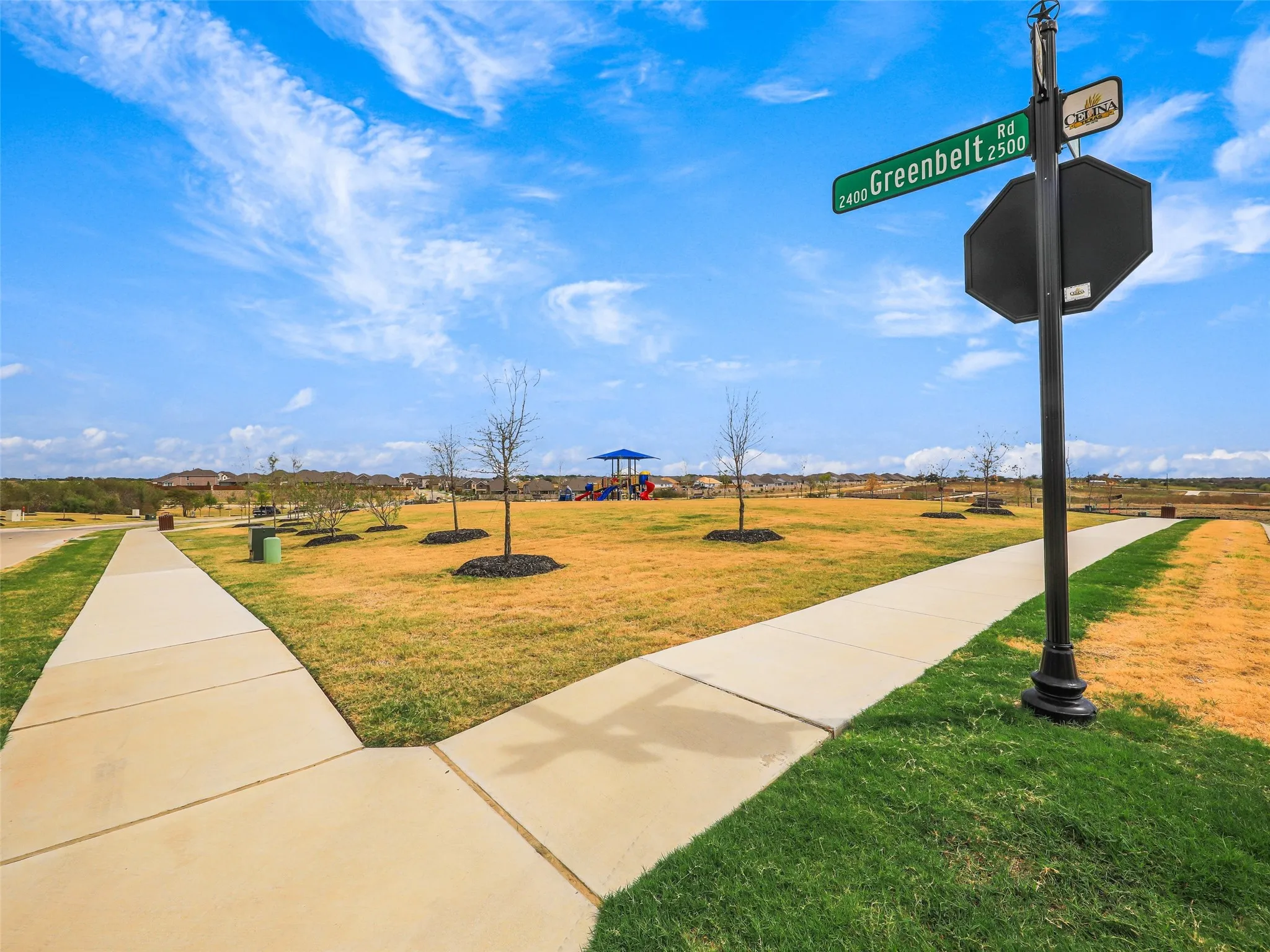 Expansive green space featuring a concrete pathway and young trees