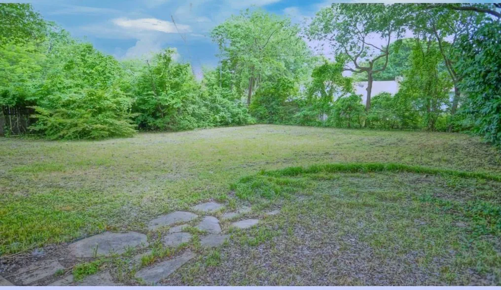 View of green lawn