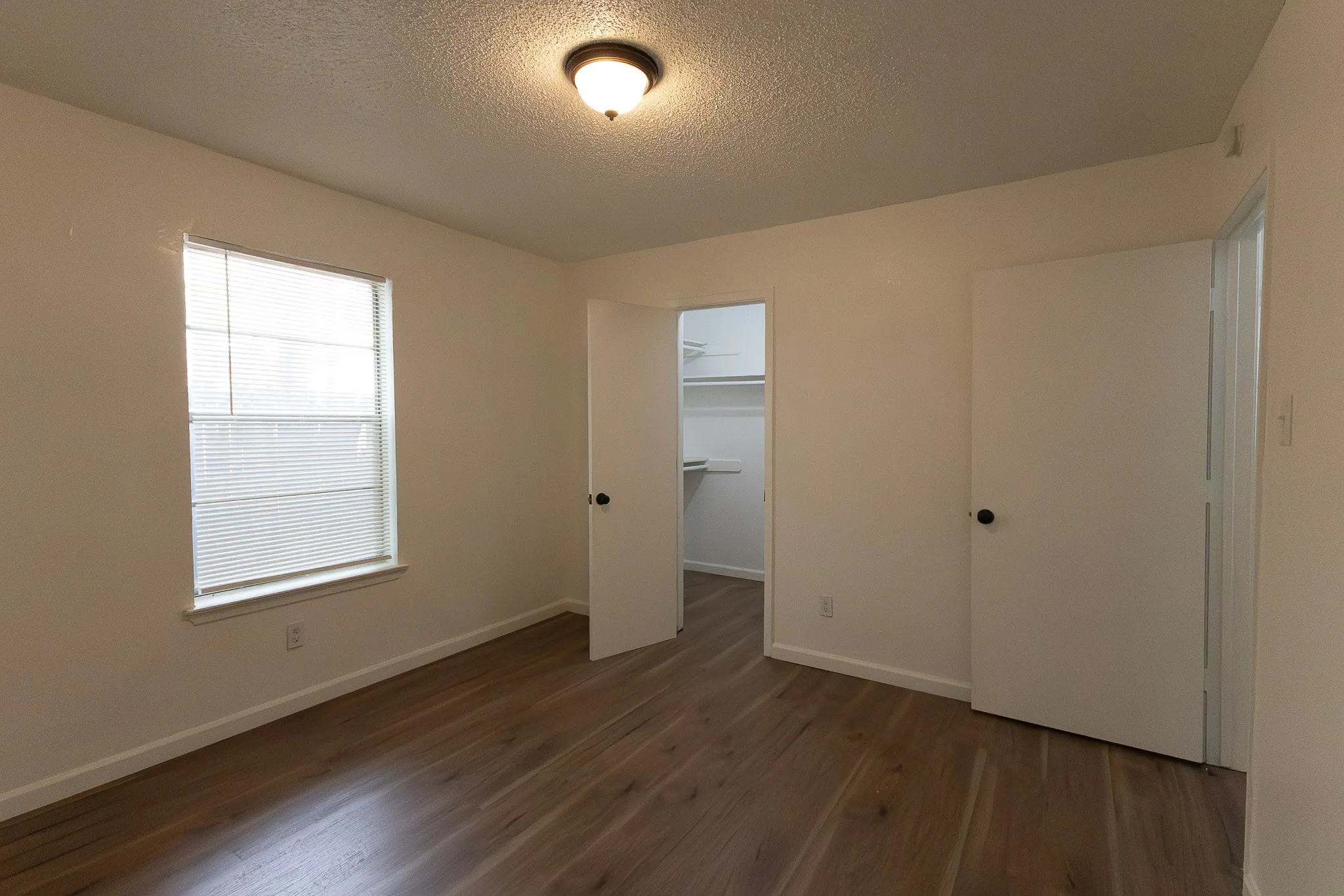 Wood-finish flooring with a window, ceiling-mounted light fixture, and walk-in closet featuring shelving