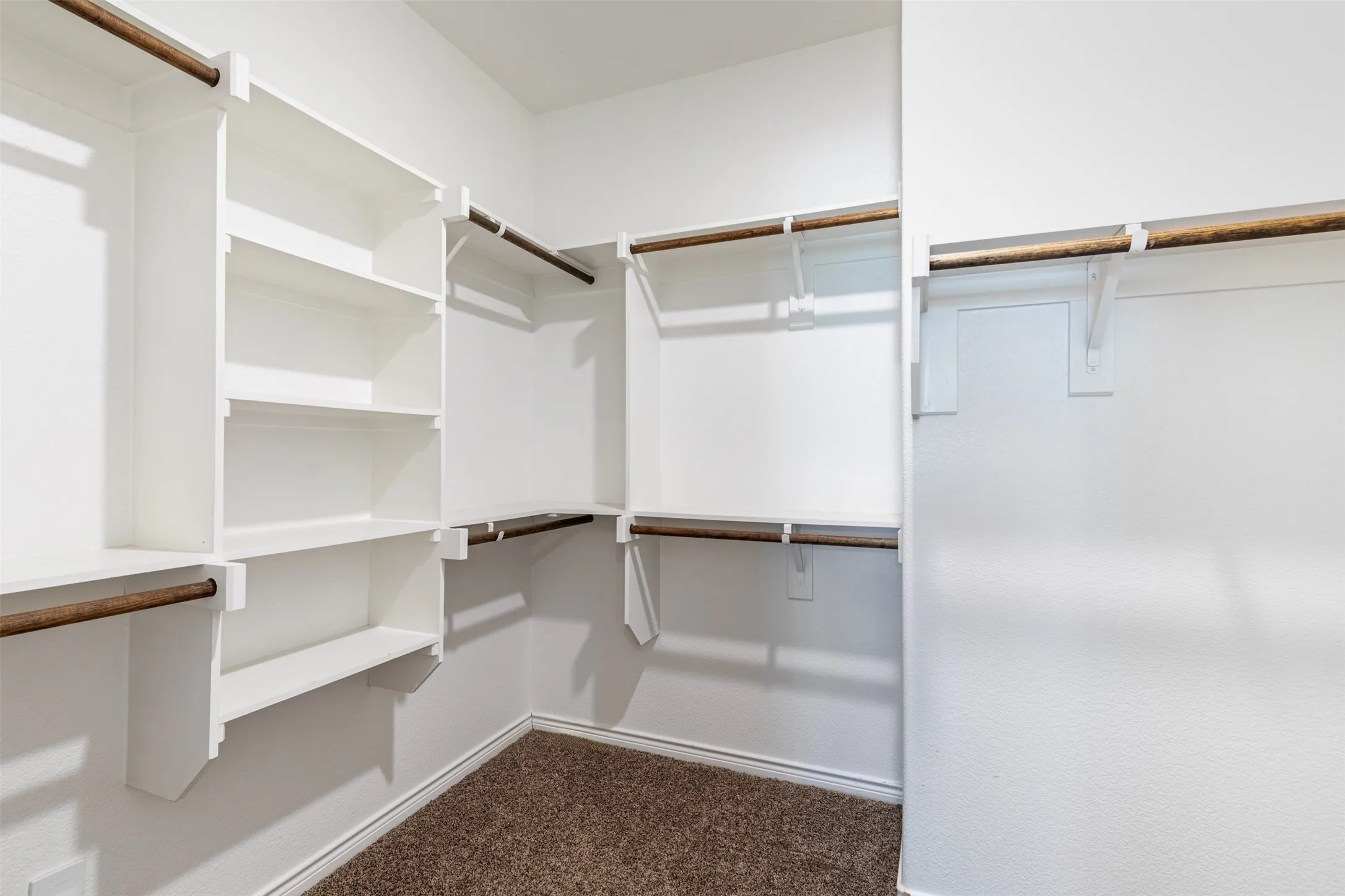 Walk-in closet with built-in shelving, multiple hanging rods, and carpet flooring
