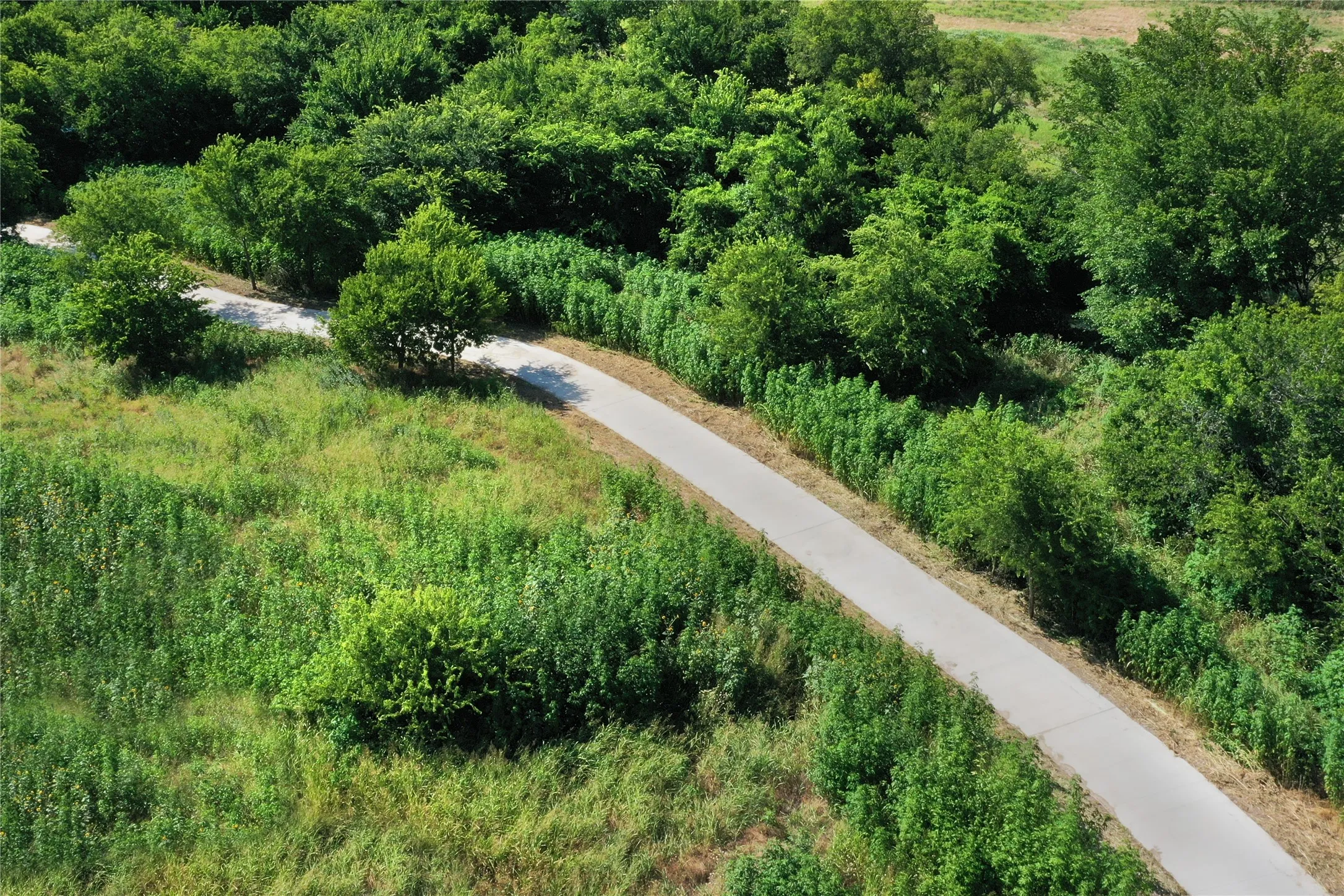 Aerial view of the community area