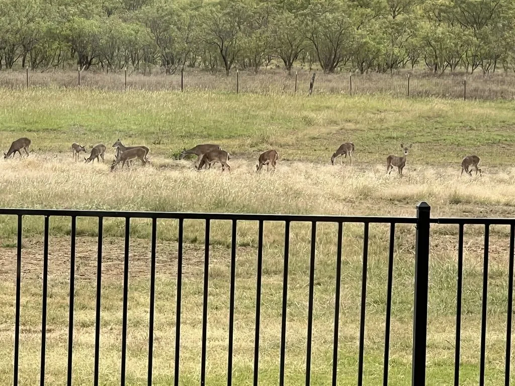 Single Family Residence For Sale in Brown County , 4401 River Oaks Drive, Brownwood, Texas 76801, 3 Bedroom, 3 Bathroom, 2 Garage spaces, 2,329 Sqft, built in 1978, mls#21384251, Real Estate Agent in Brownwood, Homes For Sale in Brown county, Homes For Sale in Brownwood, Realtor in Brownwood Texas, Real Estate Brokerage Independent Realty Texas, Luminita Cordes Realtor