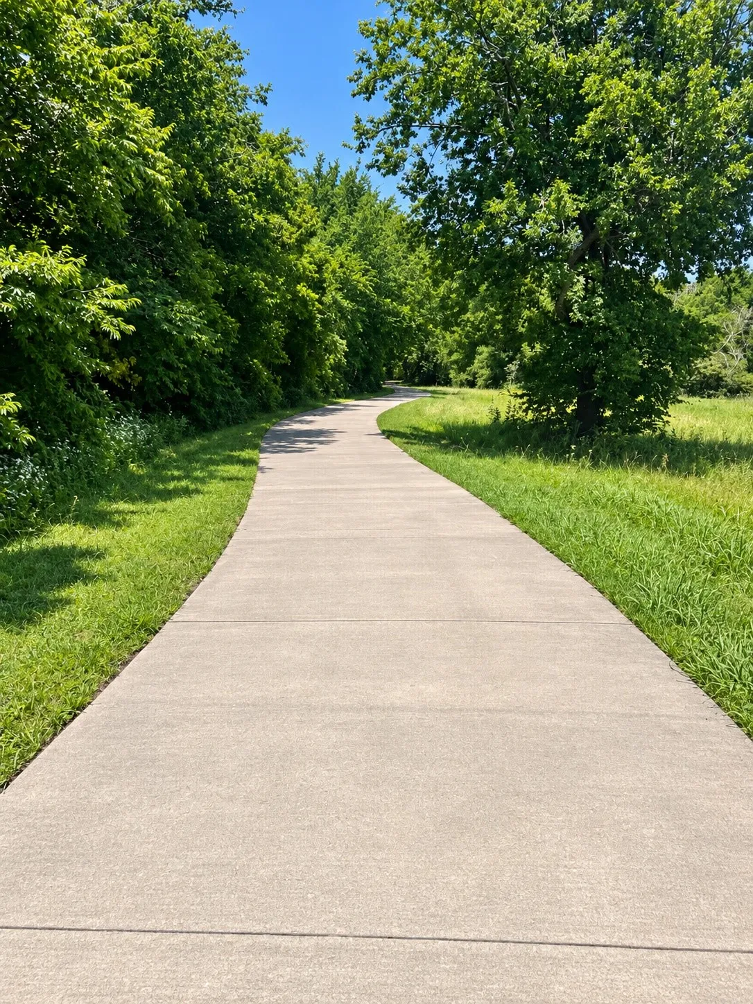 Concrete pathway with surrounding green grass and mature trees
