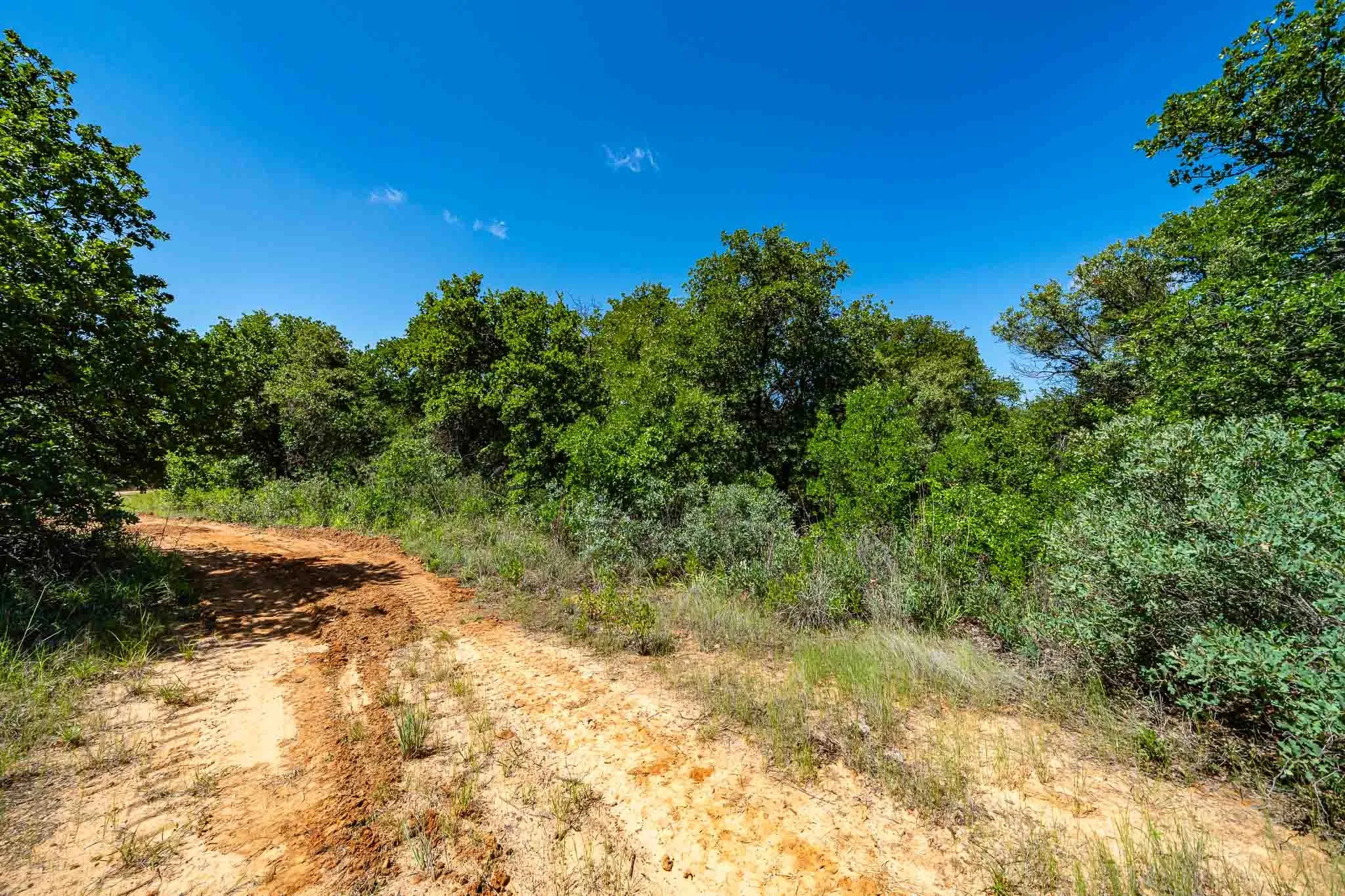 Unimproved Land For Sale in Jones County , TBD LOT#1 County Road 335, Anson, Texas 79501, 0, 0, Garage spaces, 0 Sqft, built in 0, mls#21384391, Real Estate Agent in Anson, Homes For Sale in Jones county, Homes For Sale in Anson, Realtor in Anson Texas, Real Estate Brokerage Independent Realty Texas, Luminita Cordes Realtor